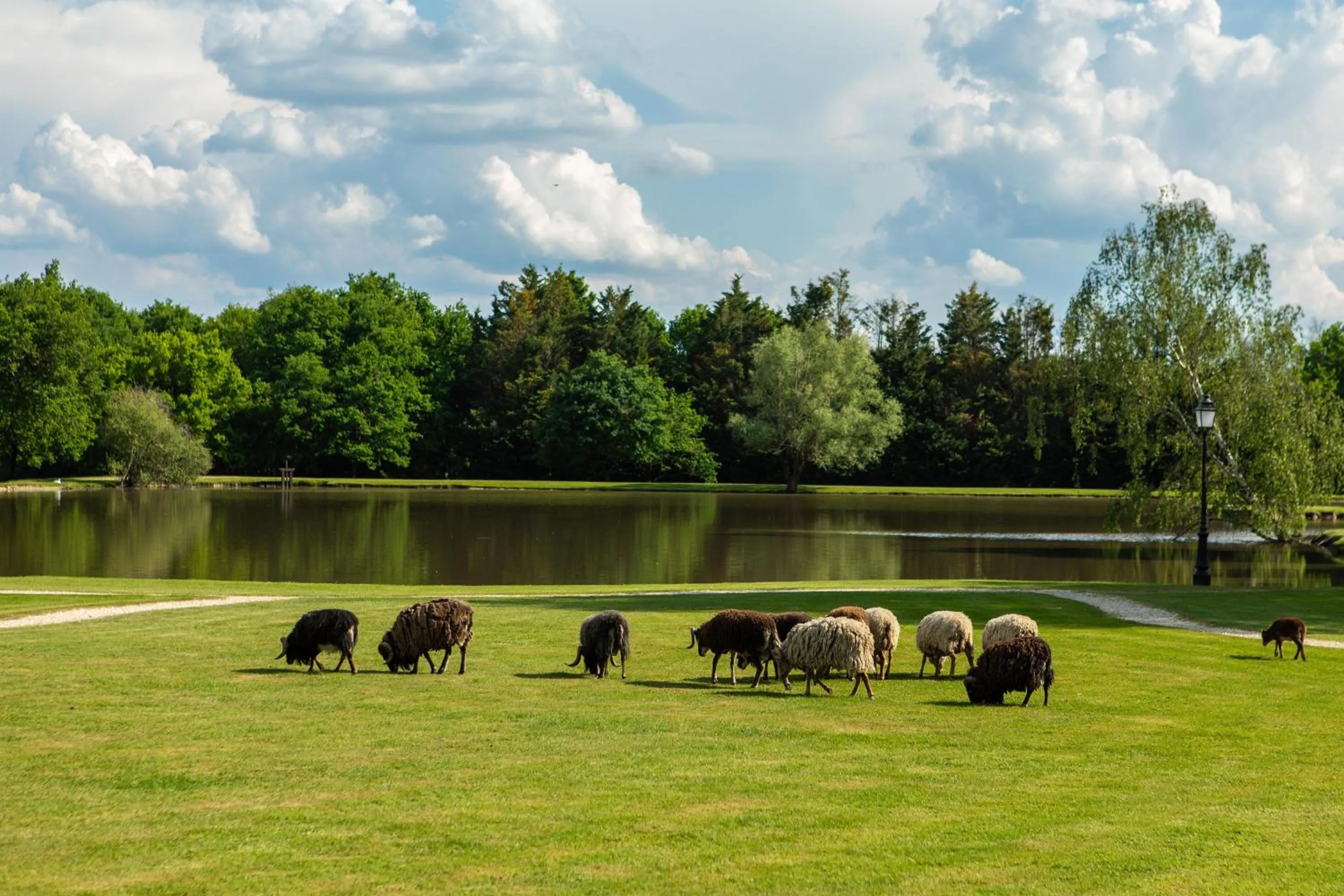 Garden in L'Orée des Chênes, The Originals Relais