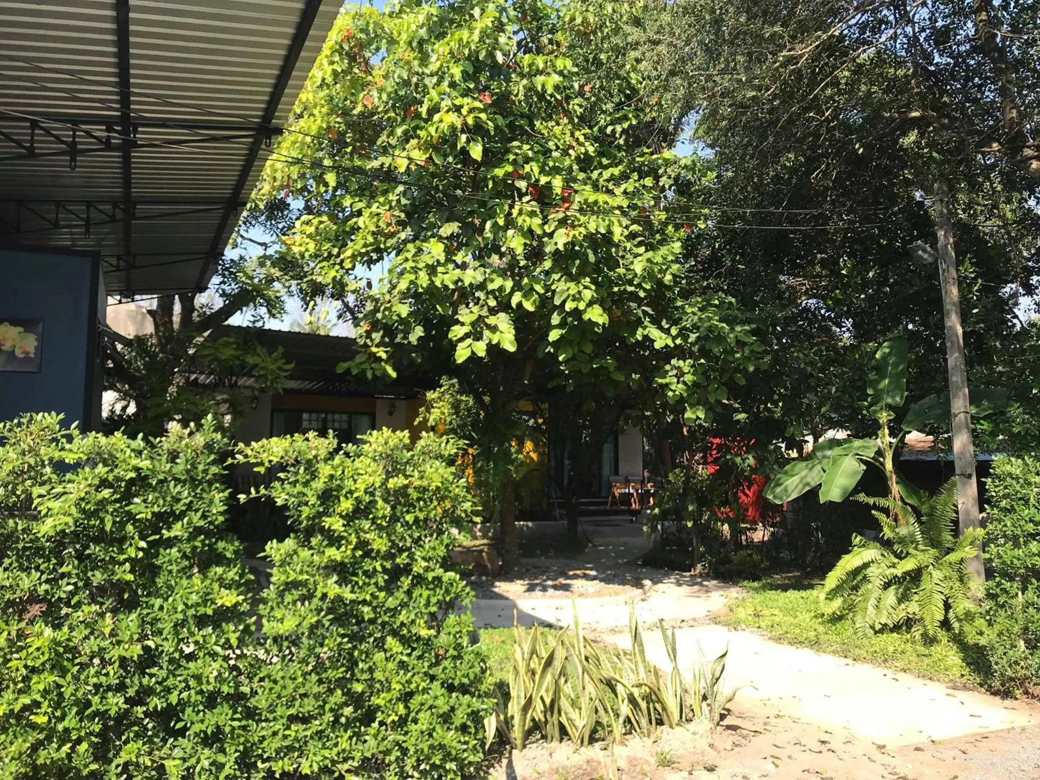 The Monkey Resort Donheang