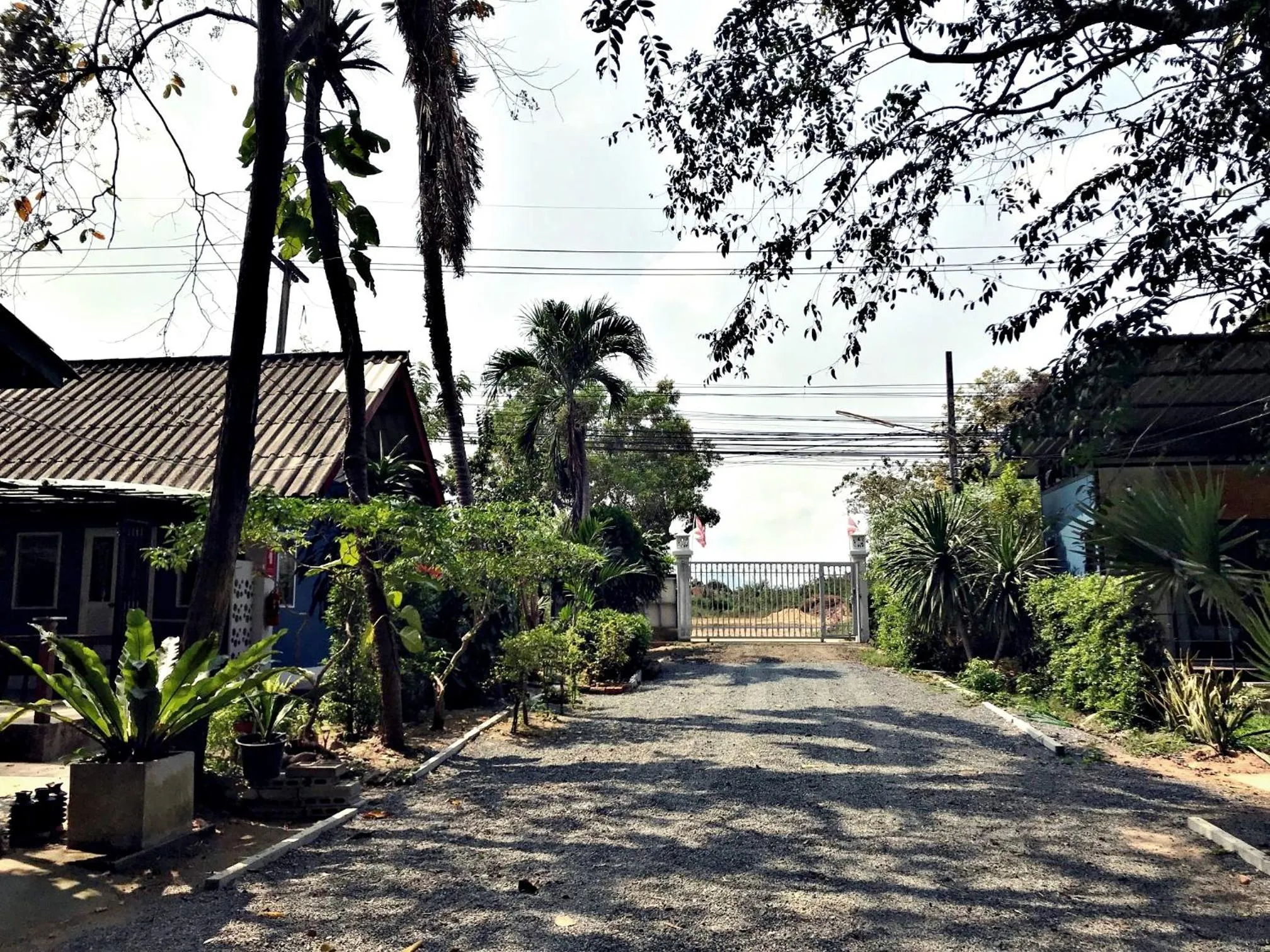 The Monkey Resort Donheang