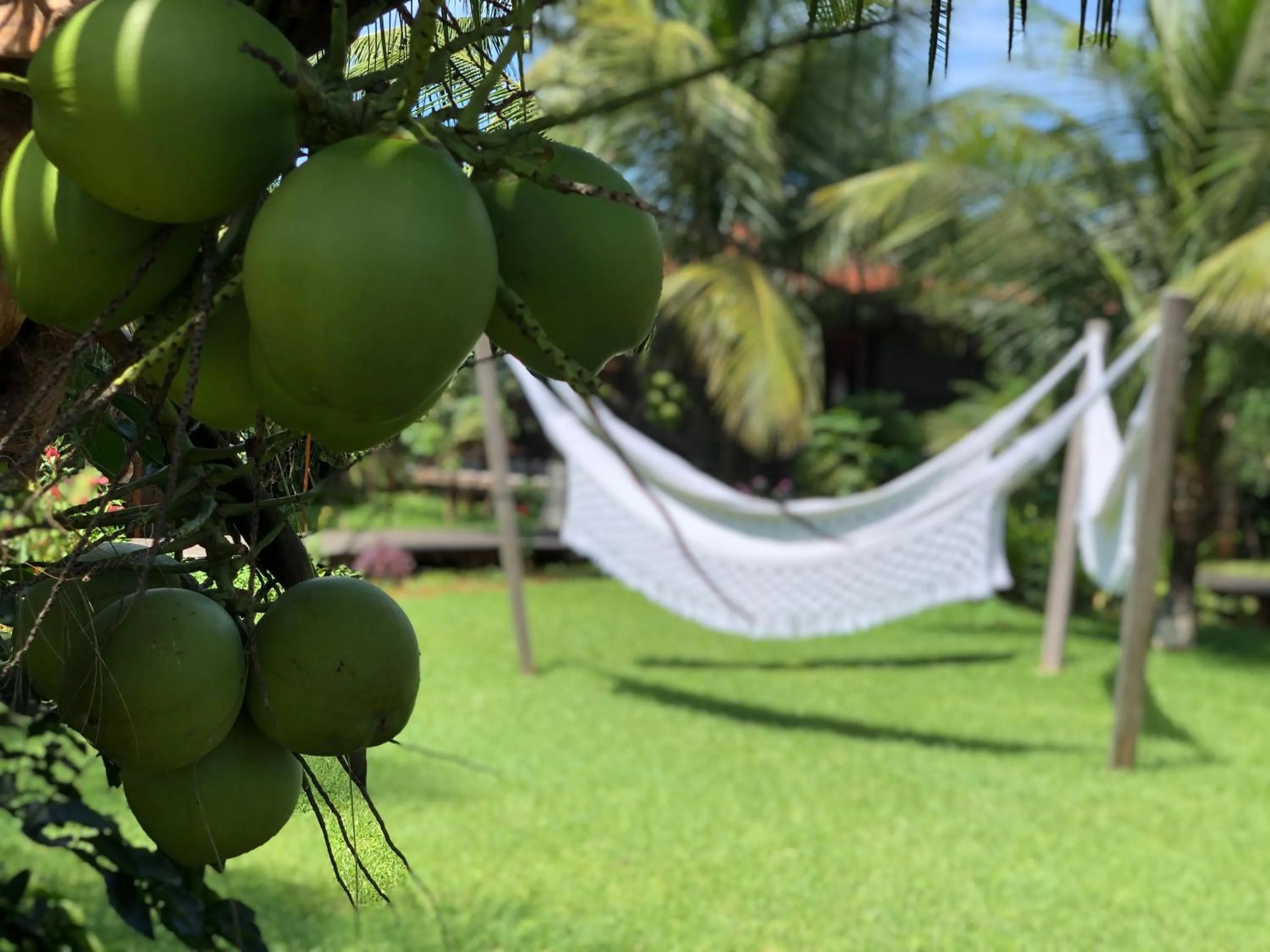 Garden in Pousada Estrela do Mar Noronha by Alto da Ilha