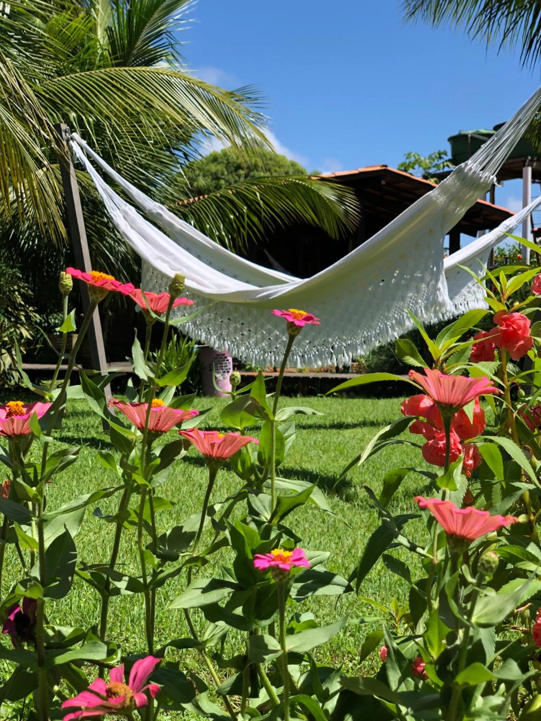 Garden in Pousada Estrela do Mar Noronha by Alto da Ilha