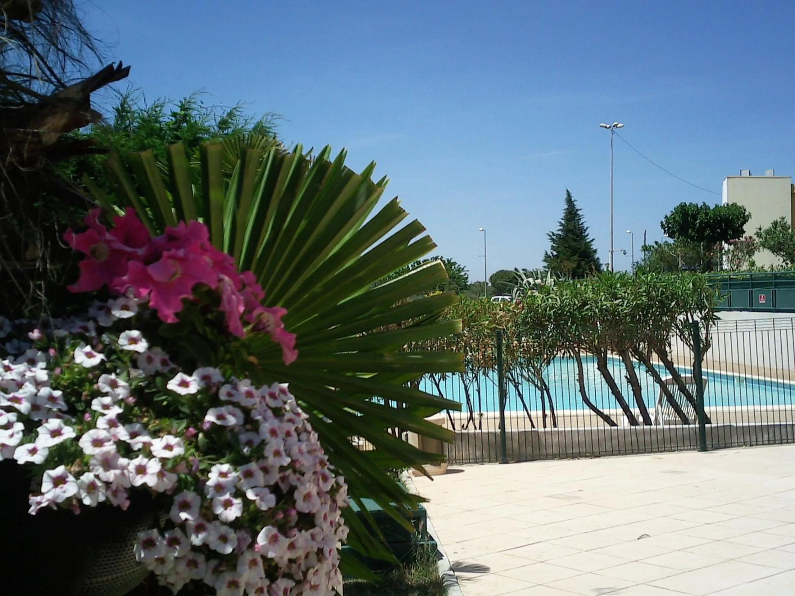 Swimming pool in Hôtel Residence Les Aiguades