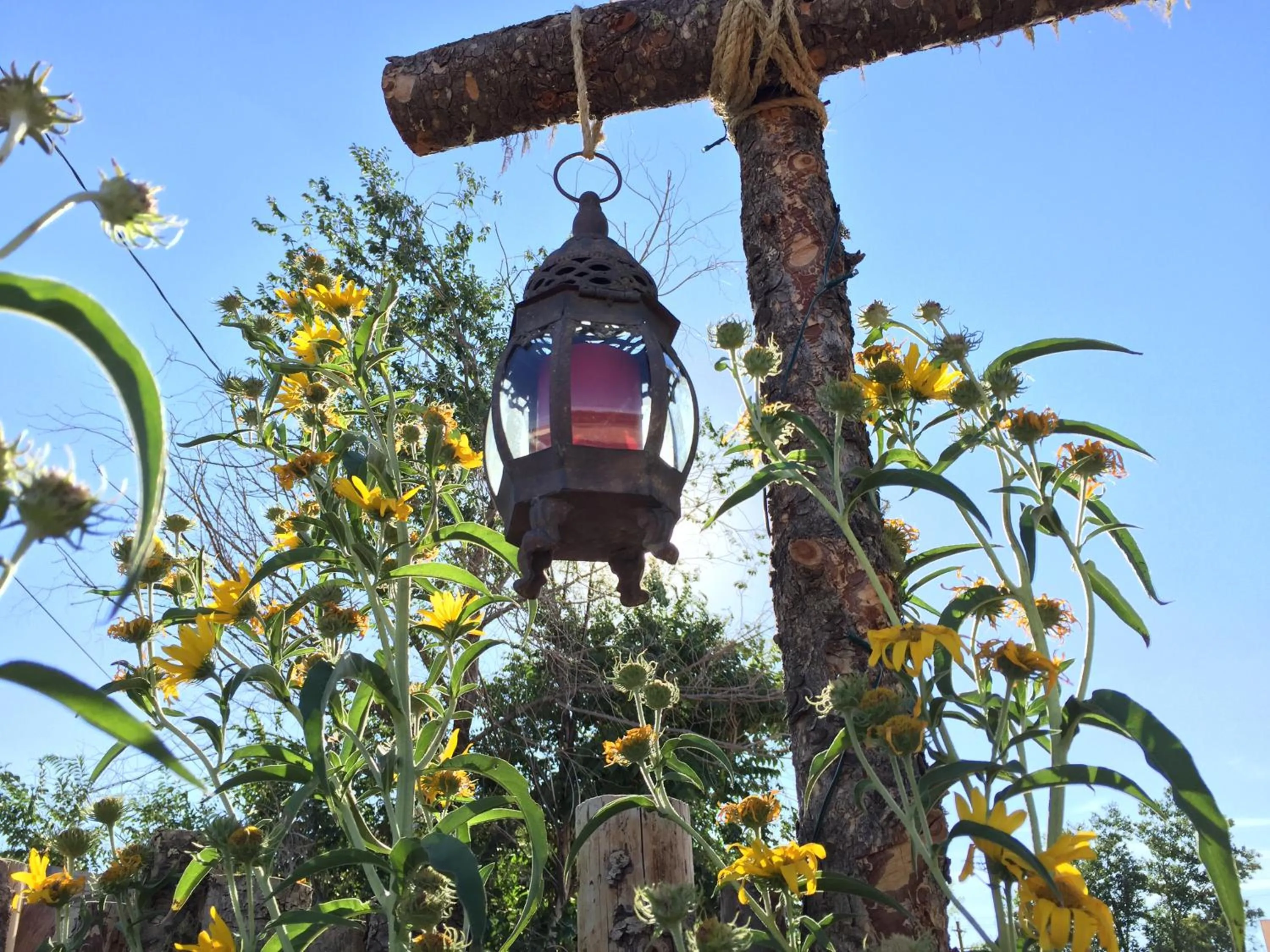 Spring in Painted Lady Bed & Brew