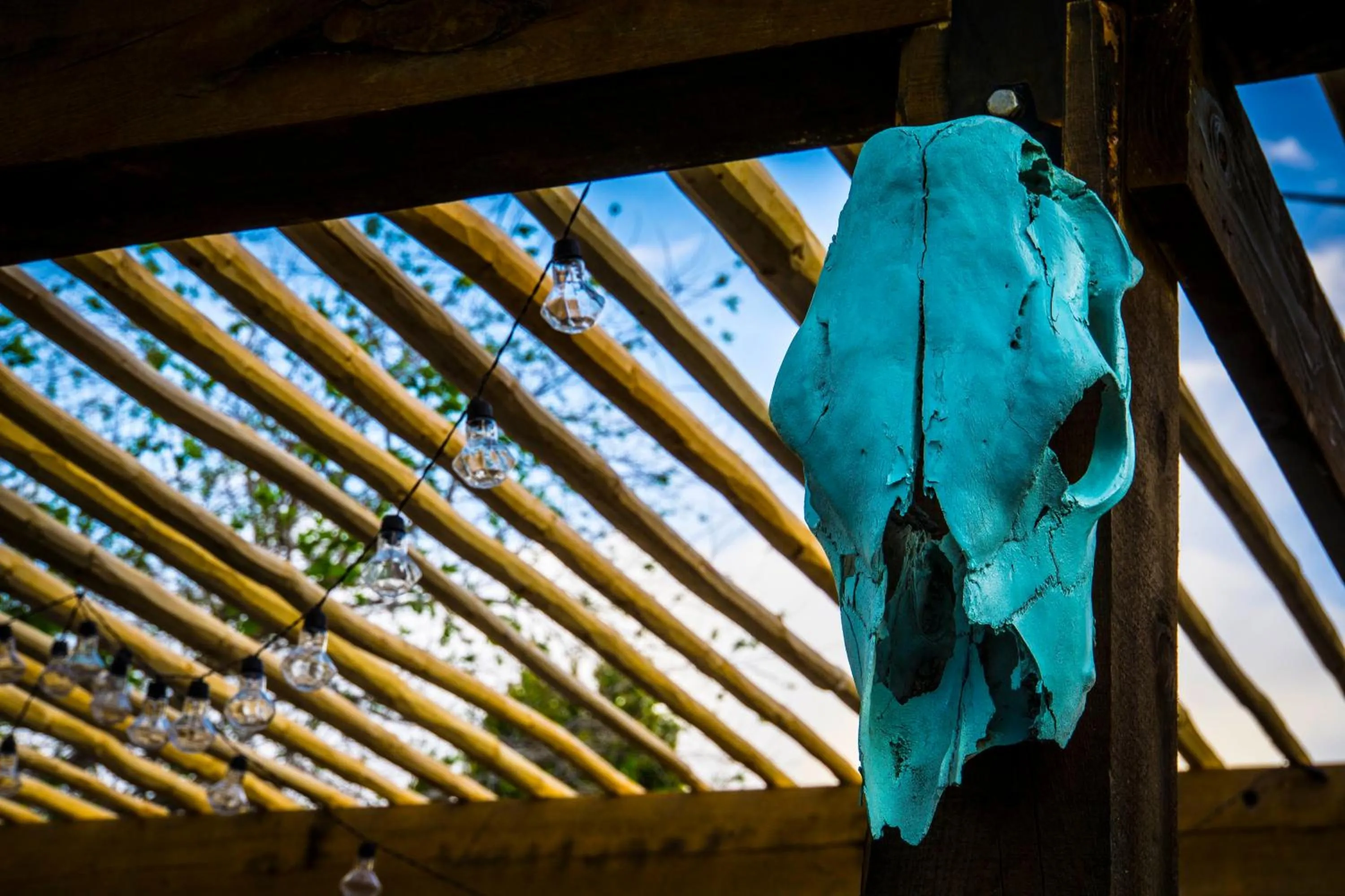 Balcony/Terrace in Painted Lady Bed & Brew