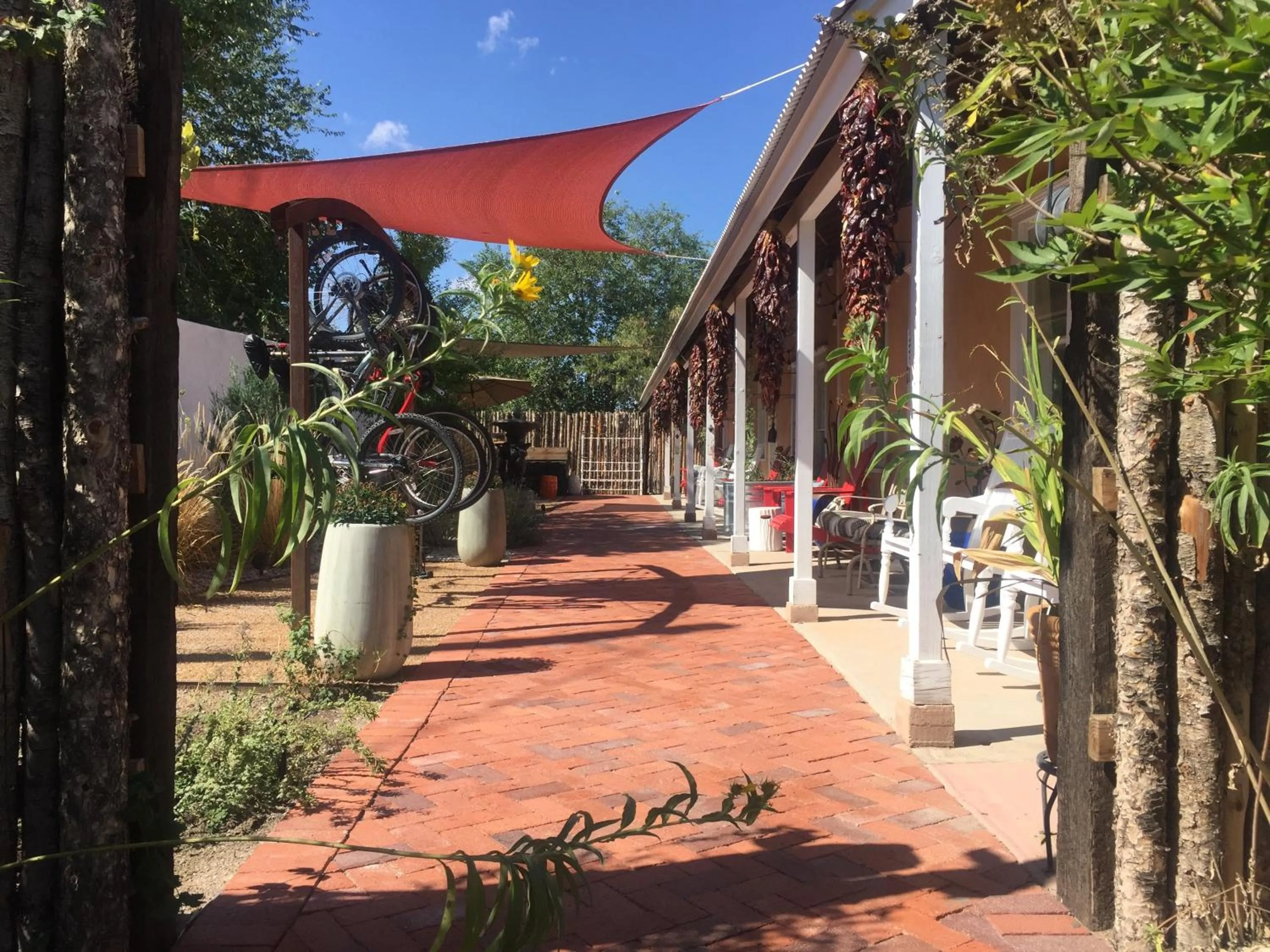 Patio in Painted Lady Bed & Brew