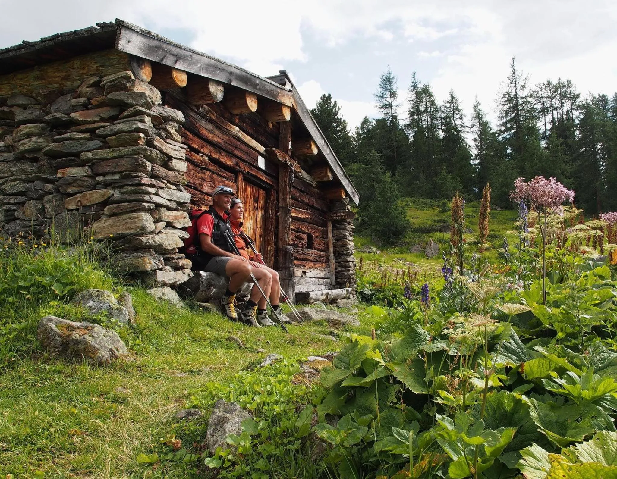 Natural landscape in Astellina hotel-apart