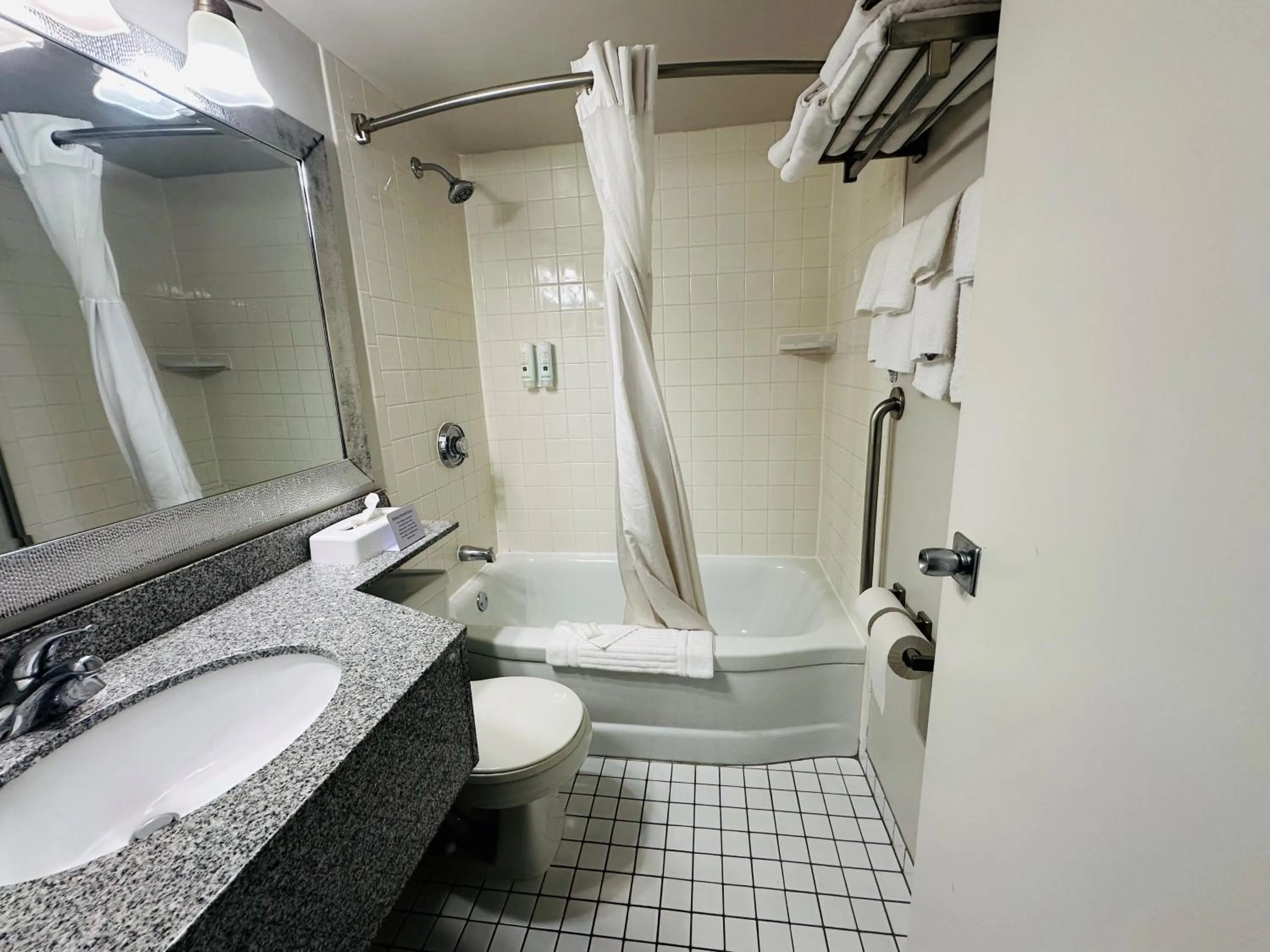 Bathroom in Village Inn & Suites