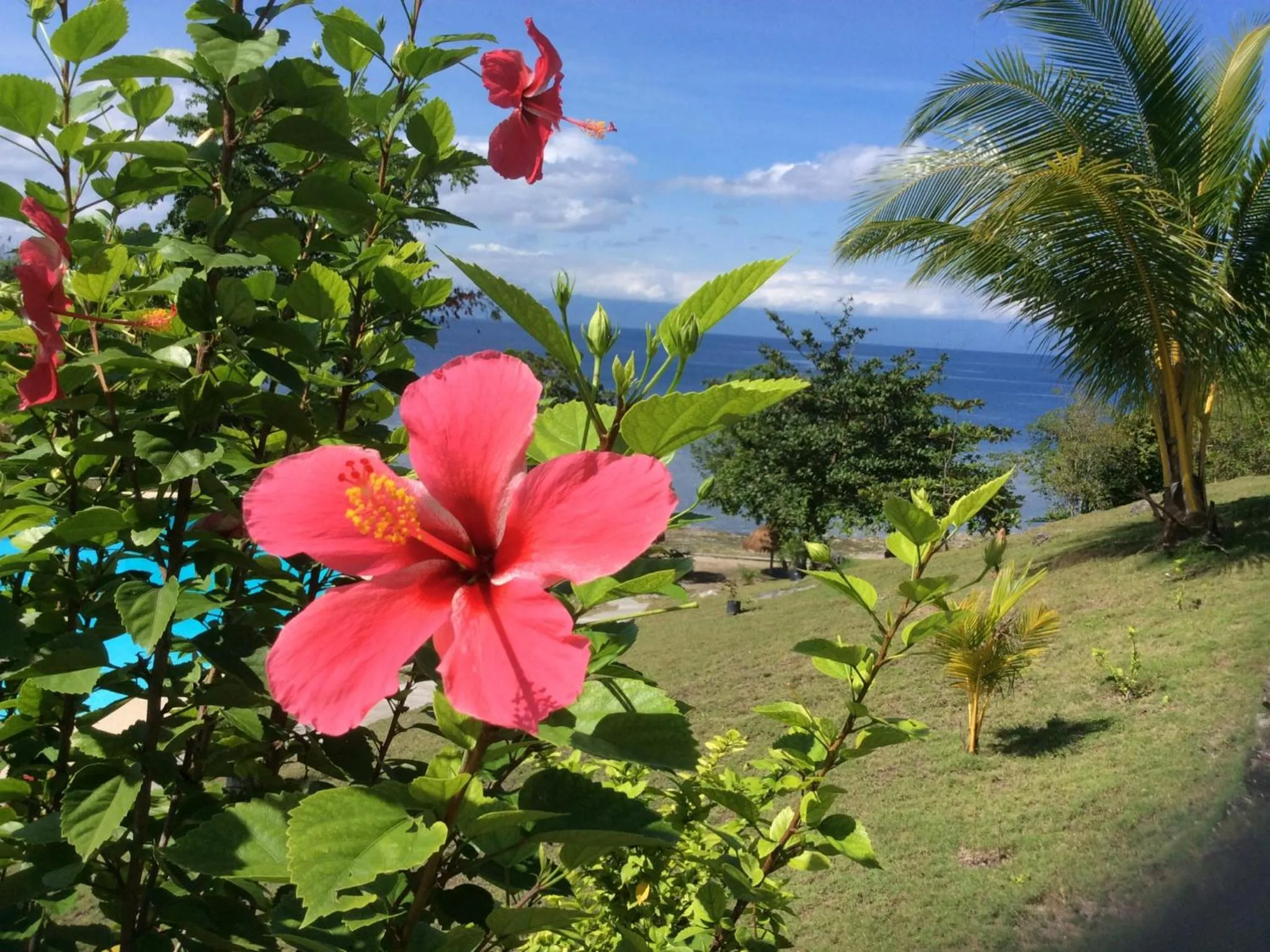 Natural landscape in Cuestas Beach Resort and Restaurant