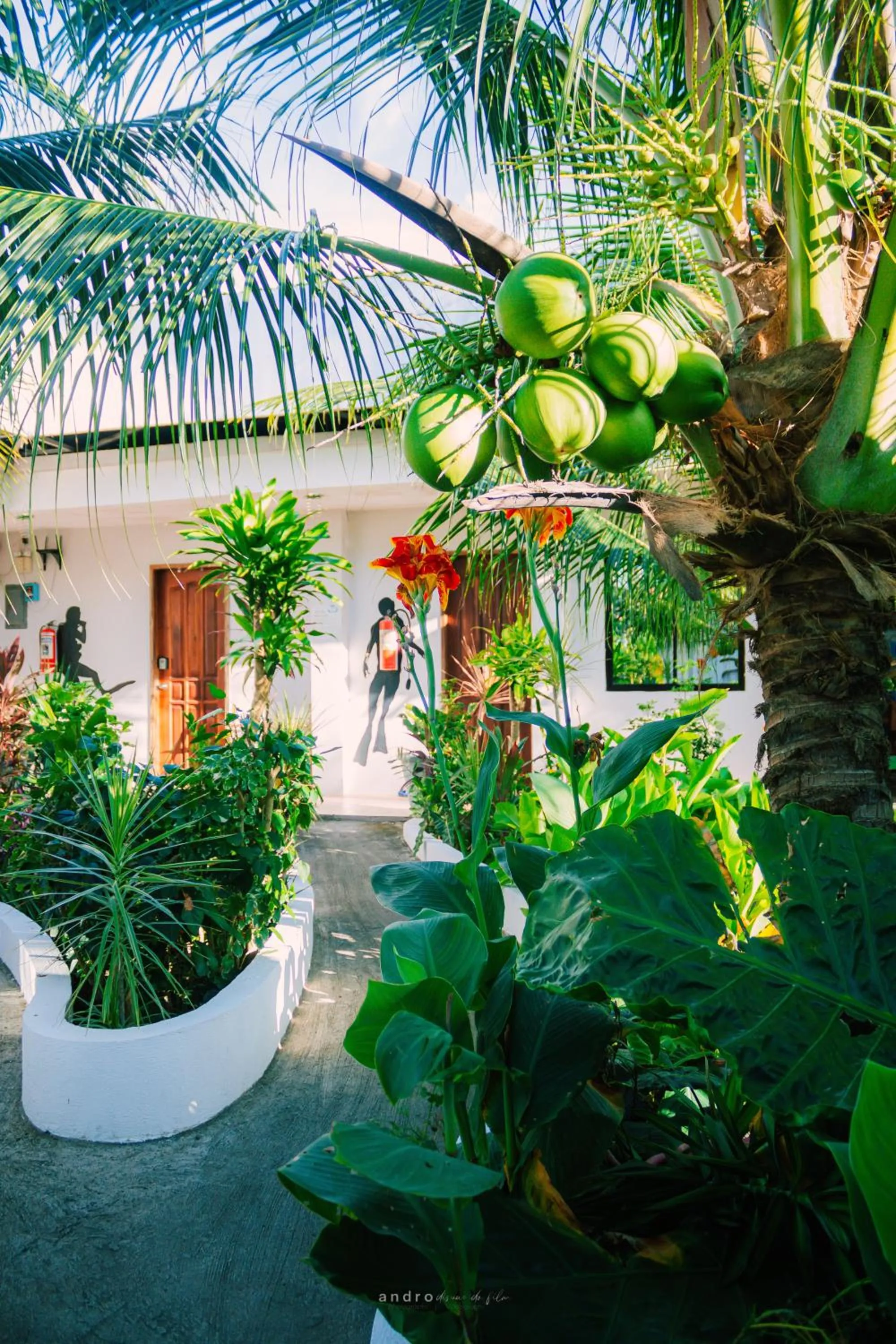 Property building in Ananas Guesthouse