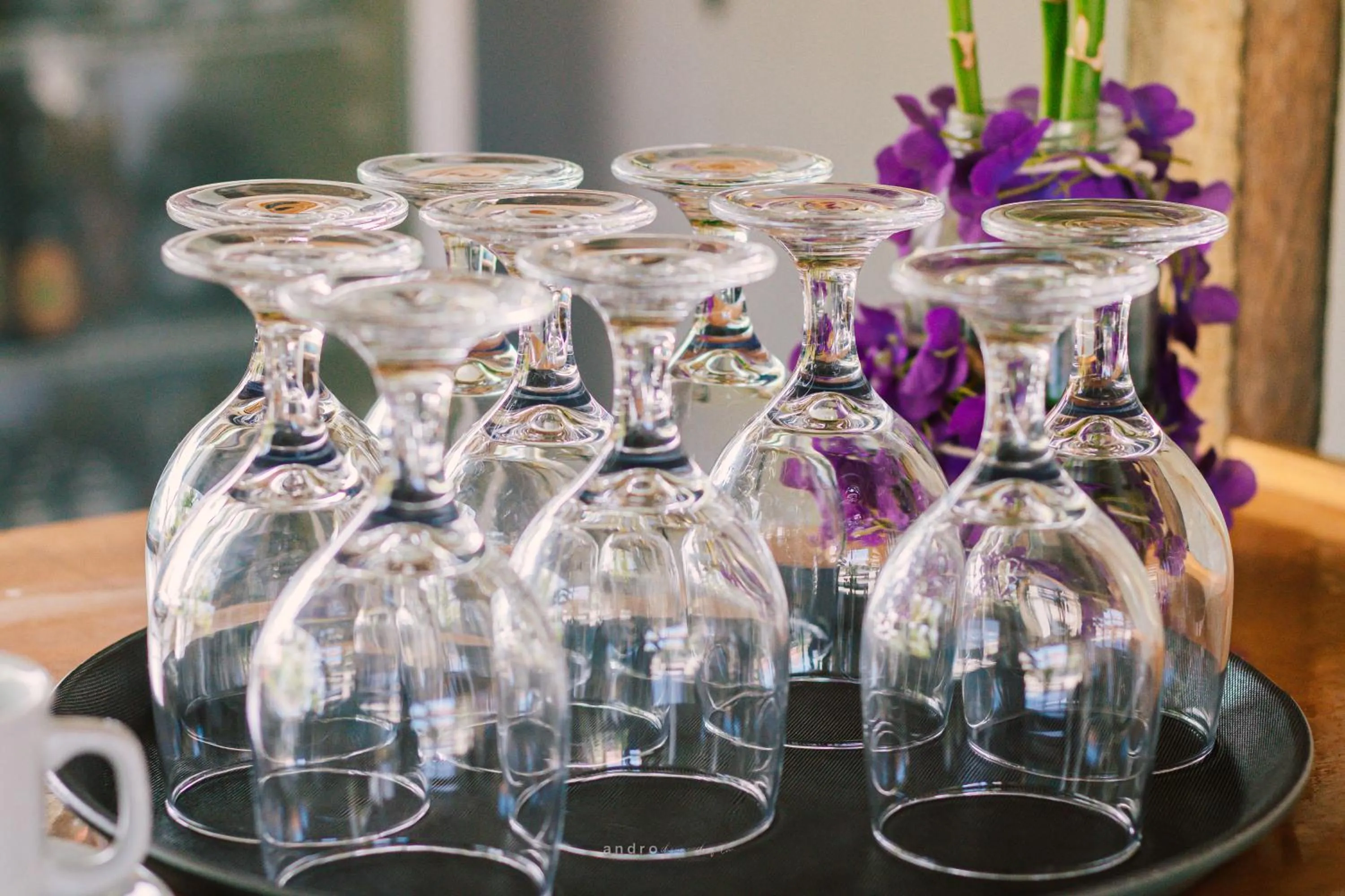 Food and drinks in Ananas Guesthouse