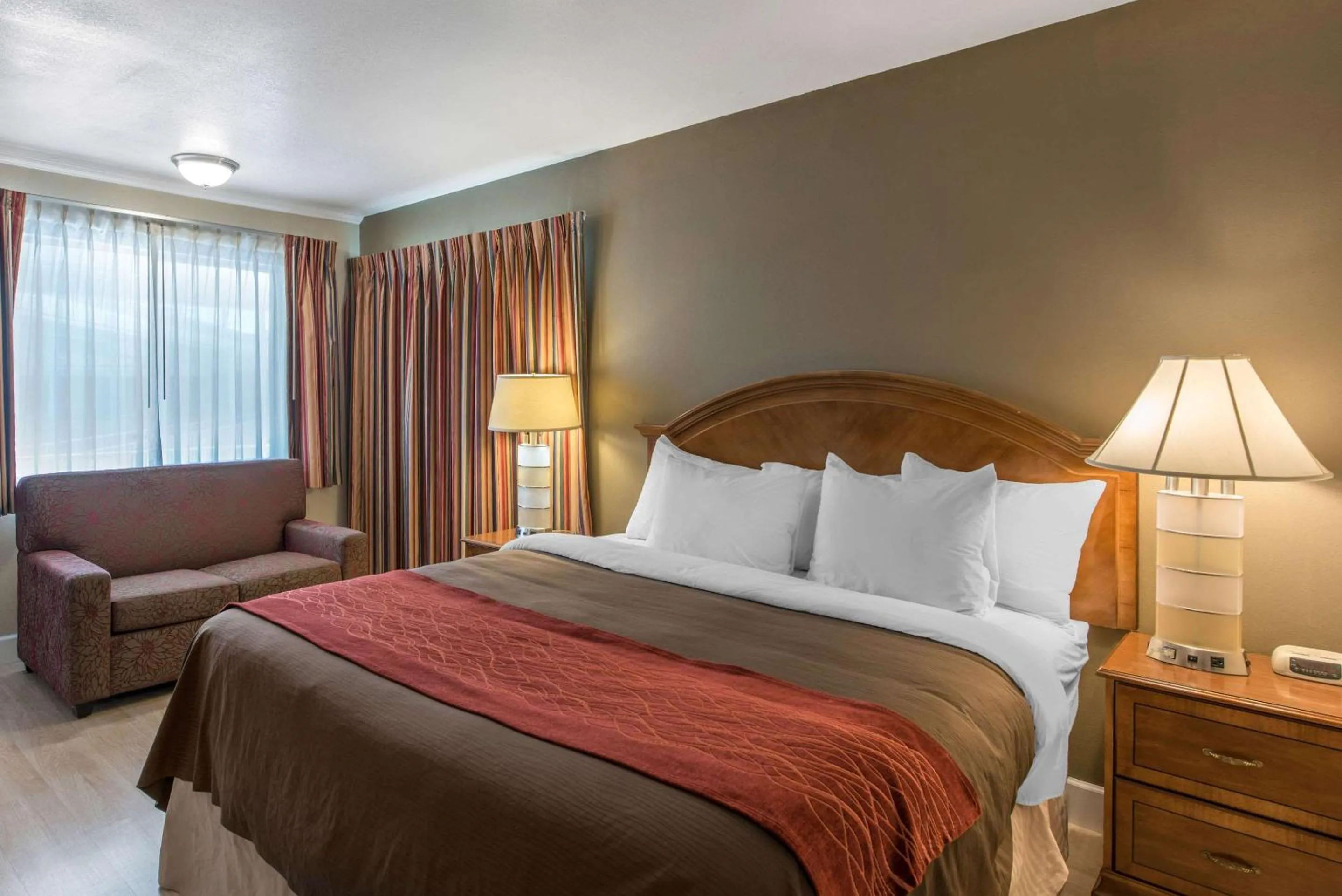 Photo of the whole room in Abode