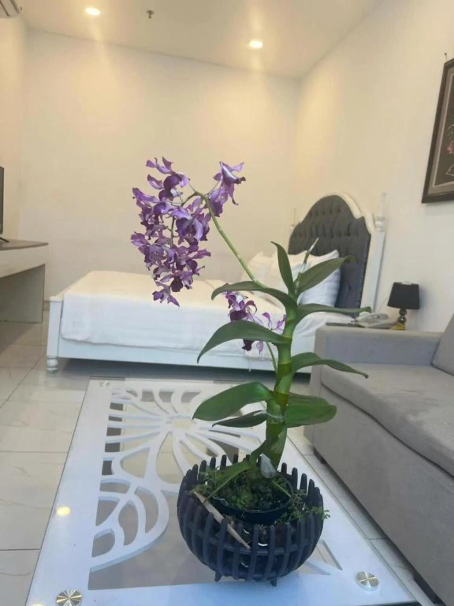 Bed in White Diamond Airport Hotel - TSN