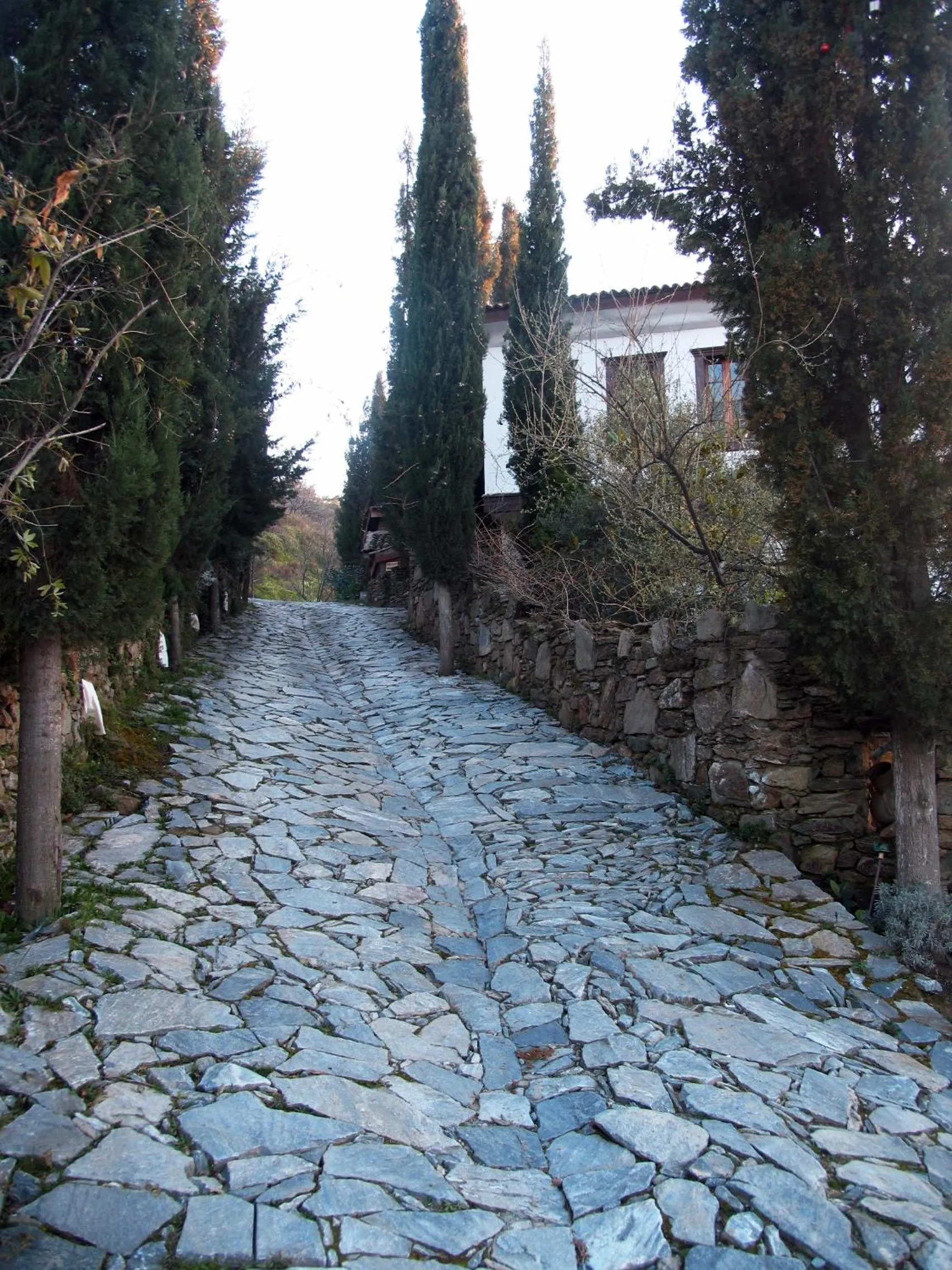 Facade/entrance in Nisanyan Hotel