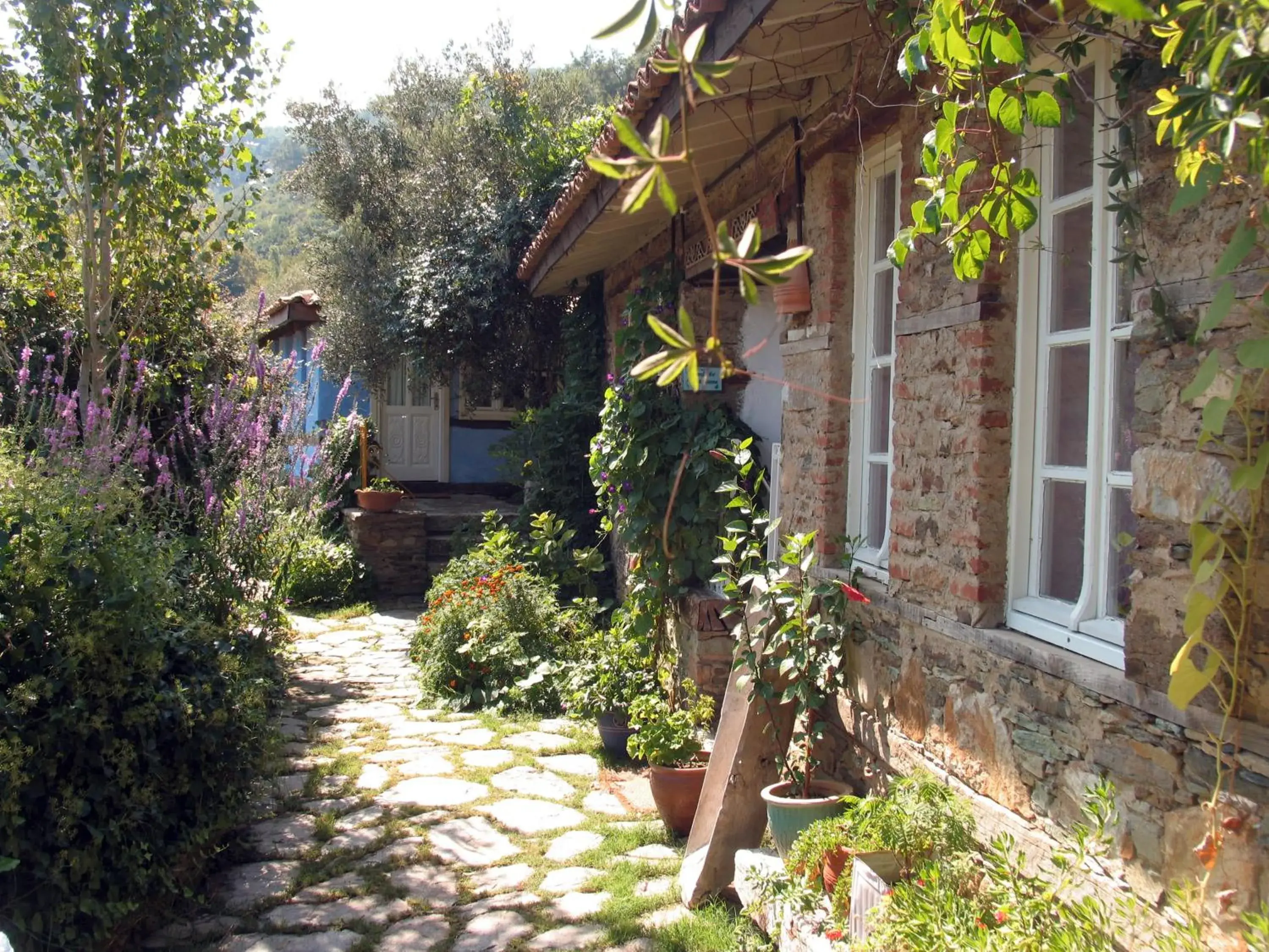 One-Bedroom Standard Apartment in Nisanyan Hotel One-Bedroom Standard Apartment in Nisanyan Hotel