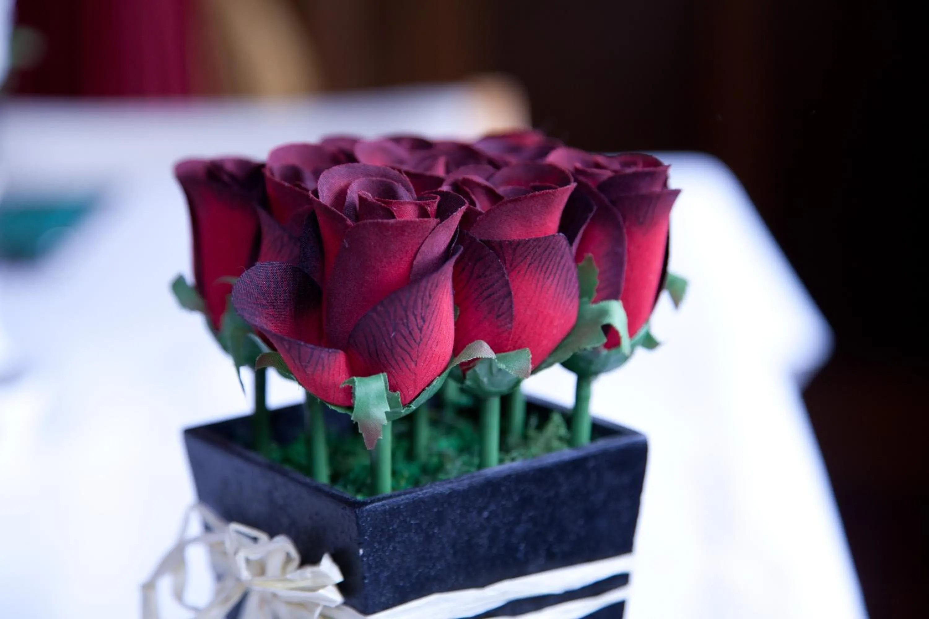 Natural landscape in Rivendell