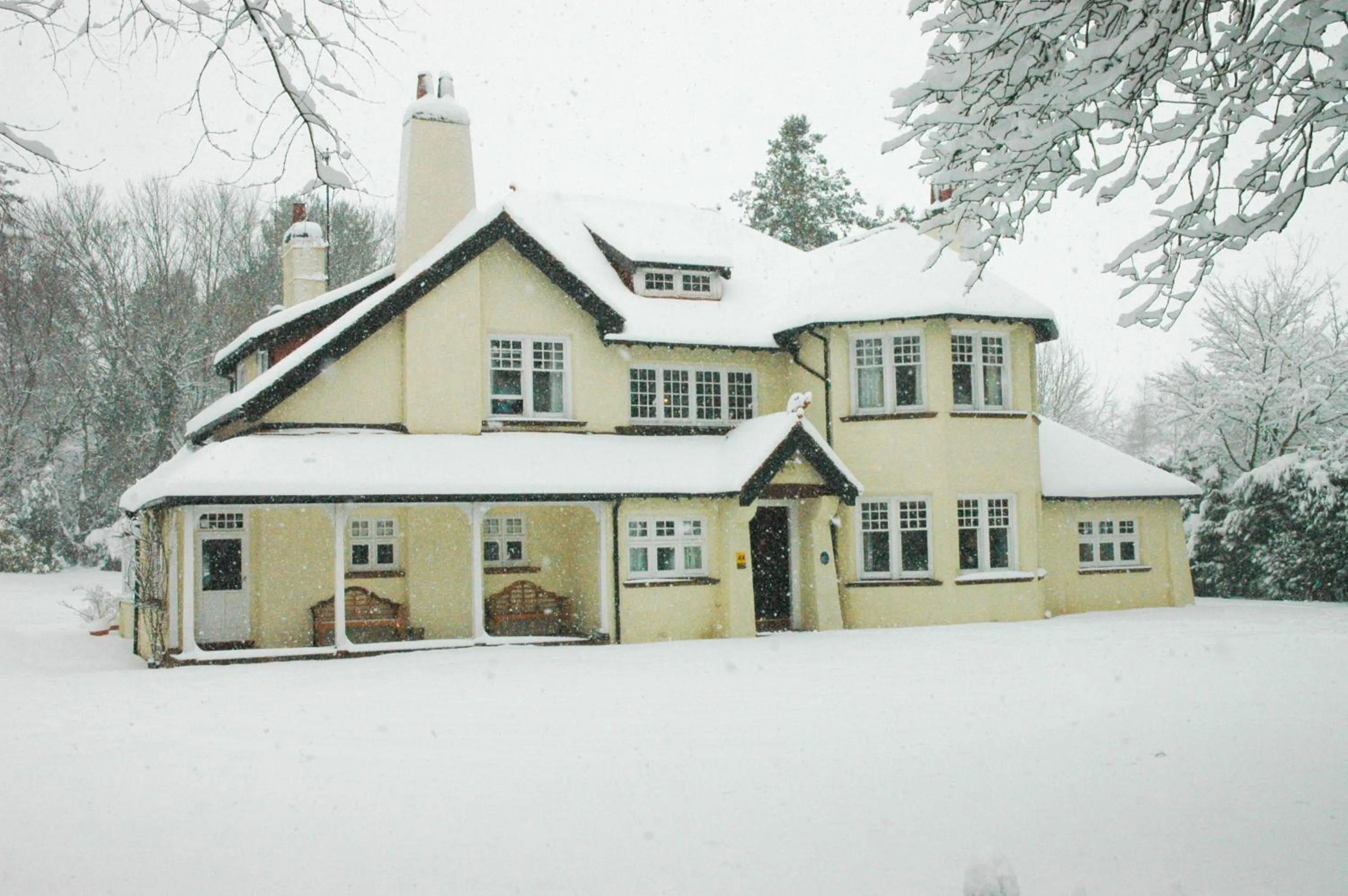 Facade/entrance in Rivendell
