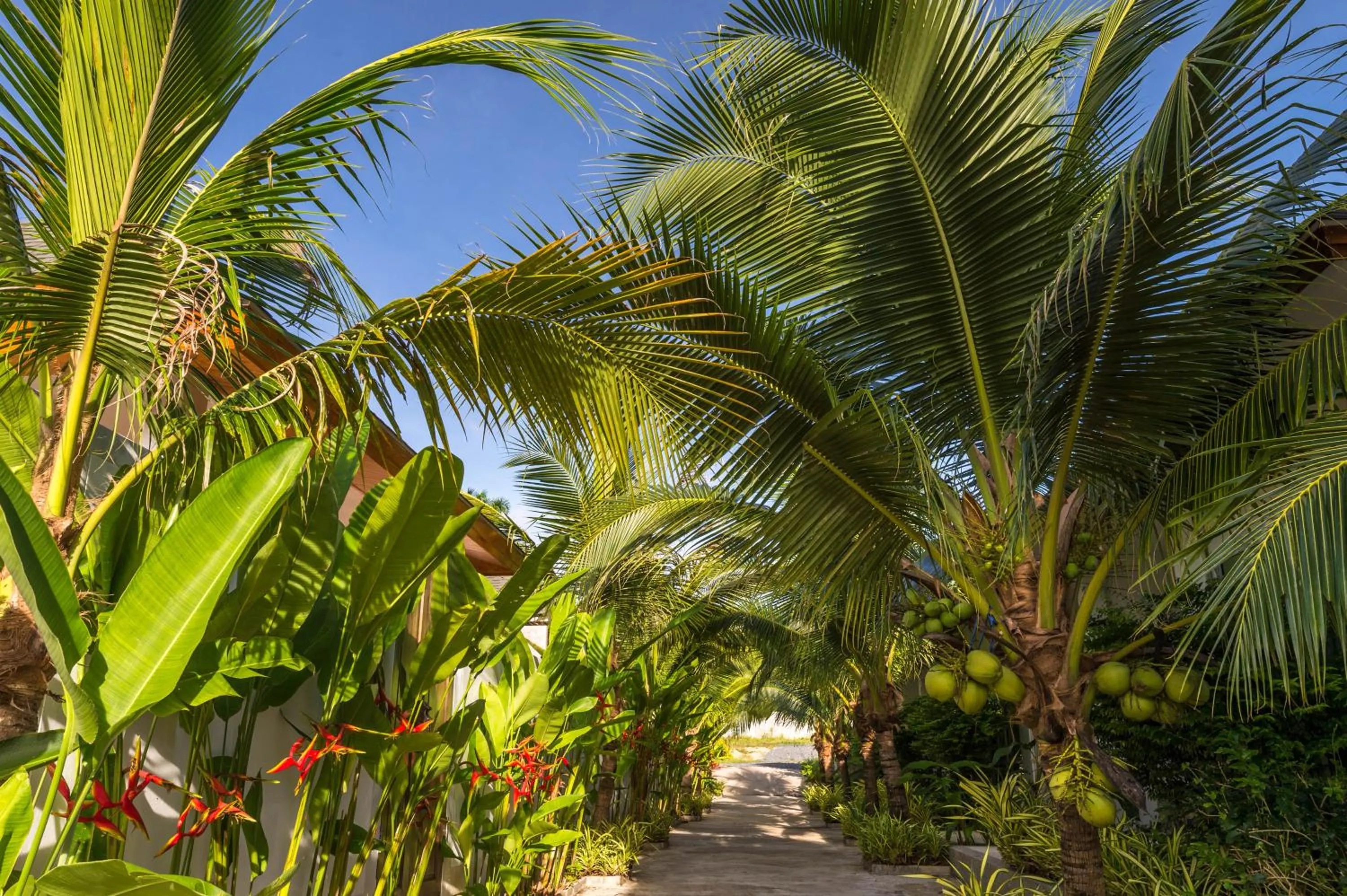 Garden view in Amadha Villas Retreat 