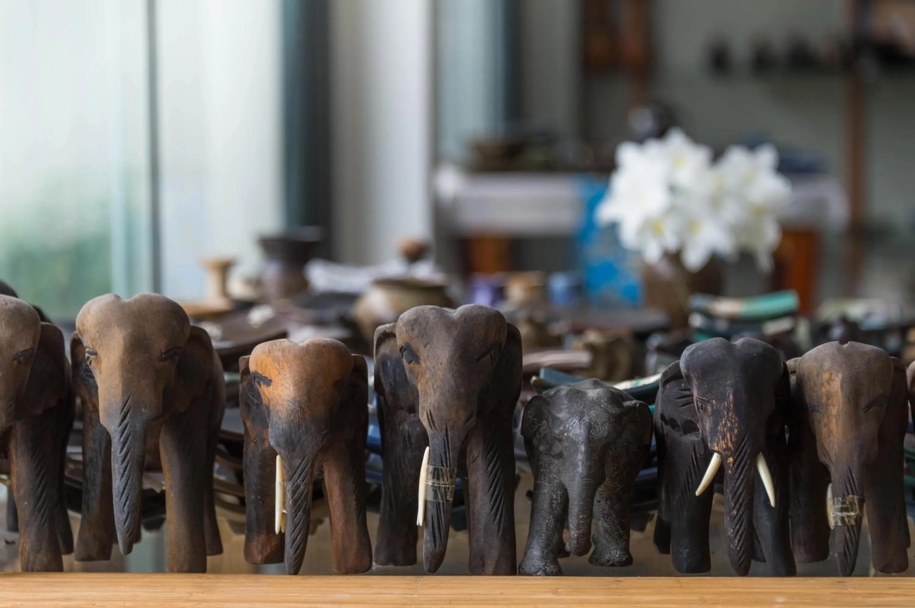 Decorative detail, Other Animals in Amadha Villas Retreat 