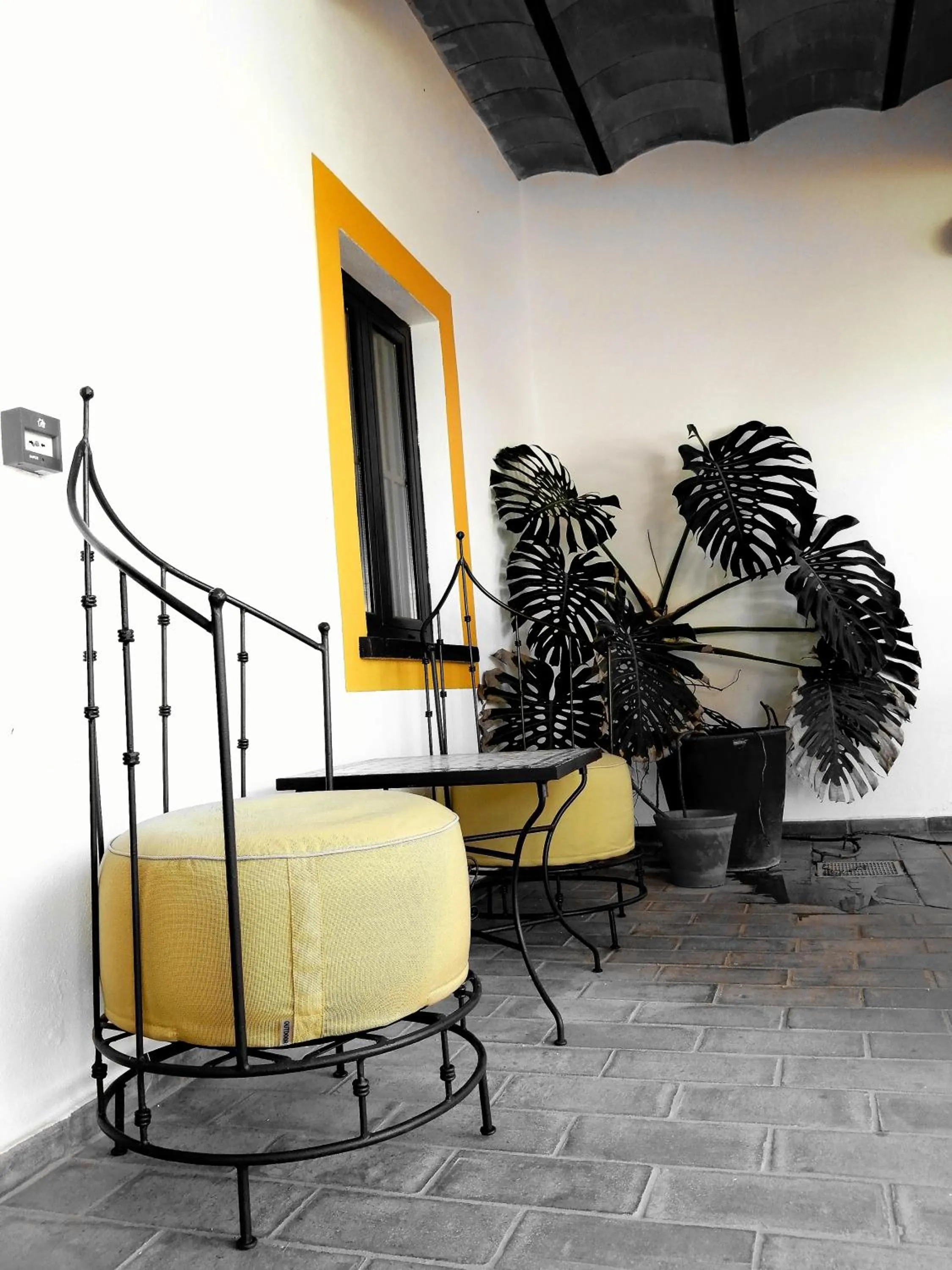 Balcony/Terrace in Herdade da Diabroria - Agroturismo