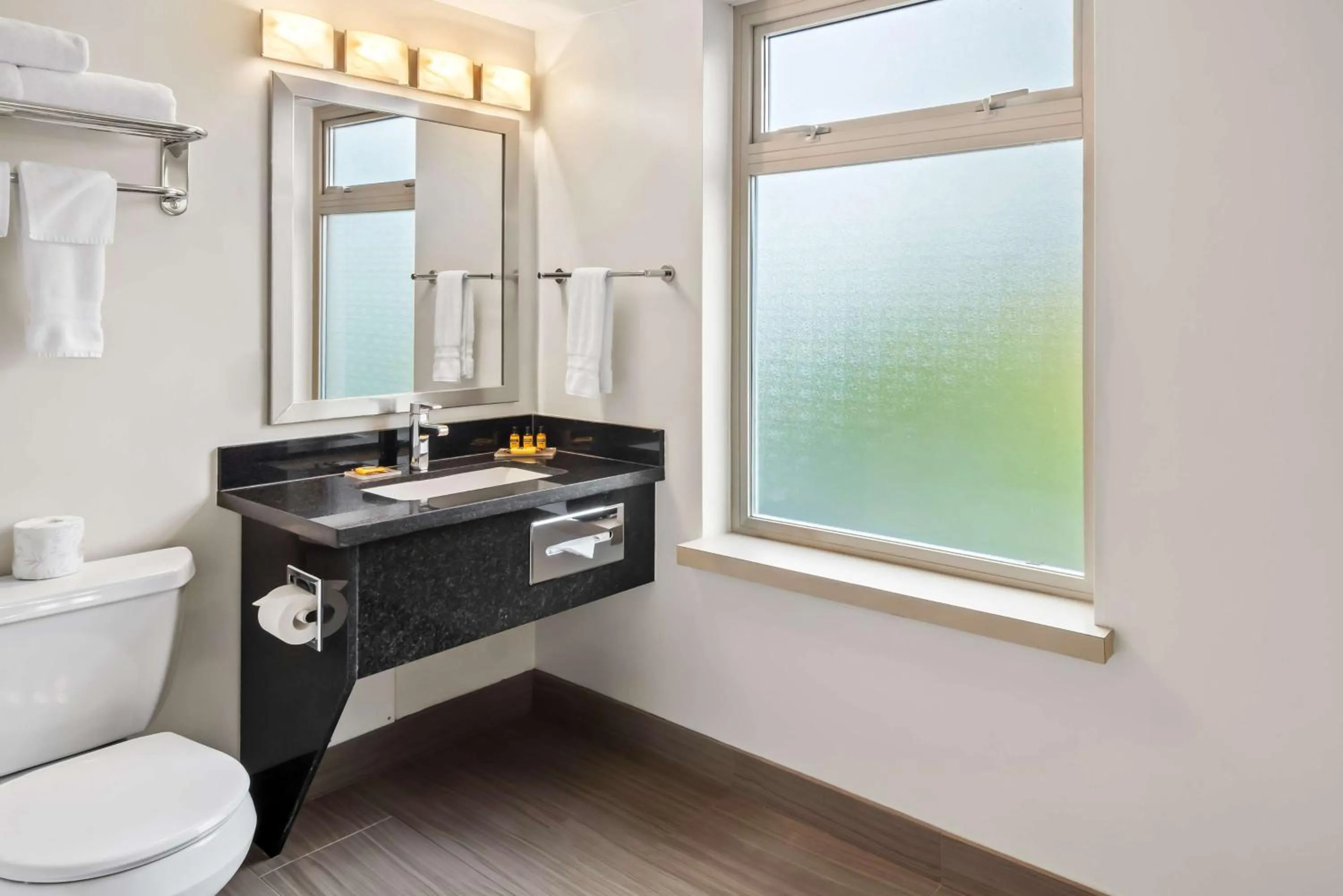 Bathroom in Best Western Plus Pitt Meadows Inn & Suites