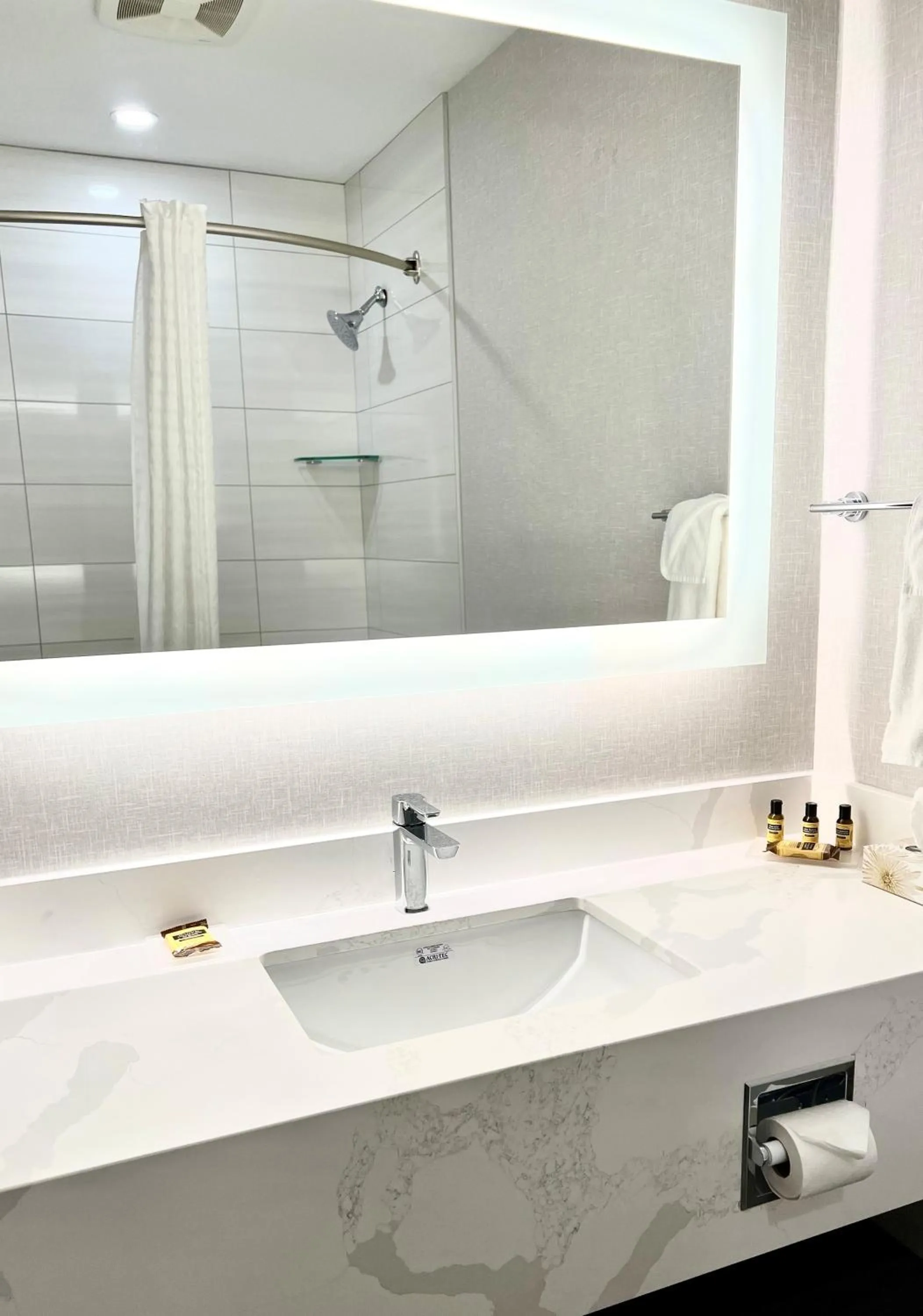 Bathroom in Best Western Plus Pitt Meadows Inn & Suites