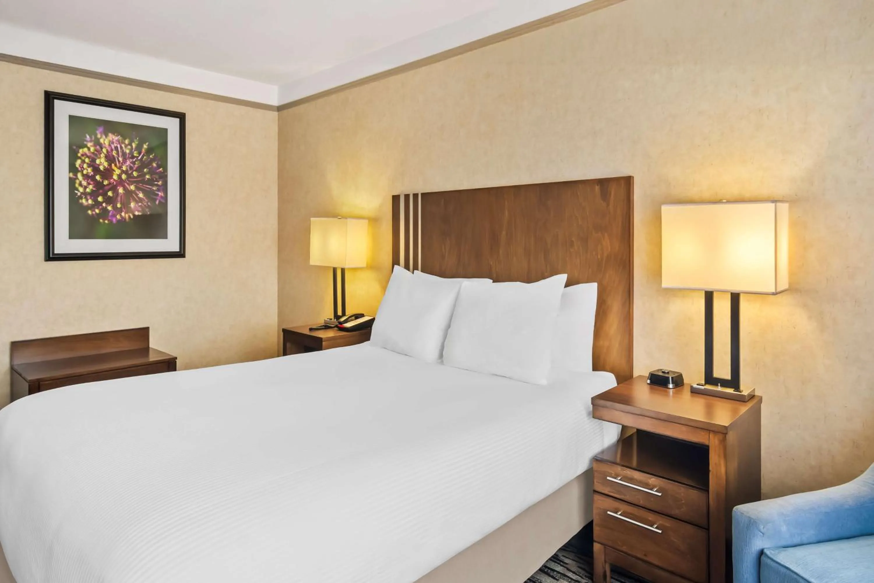 Bedroom, Bed in Best Western Plus Pitt Meadows Inn & Suites