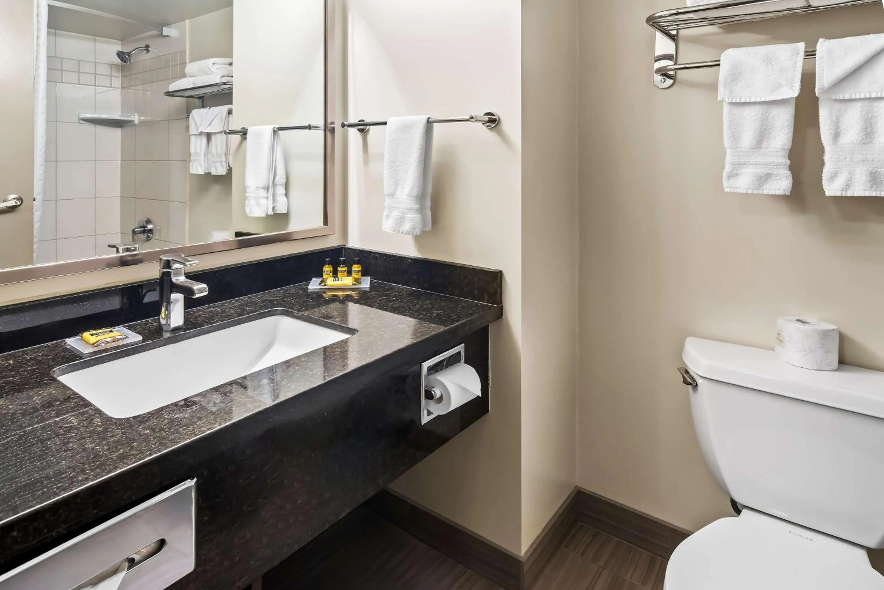 Bathroom in Best Western Plus Pitt Meadows Inn & Suites
