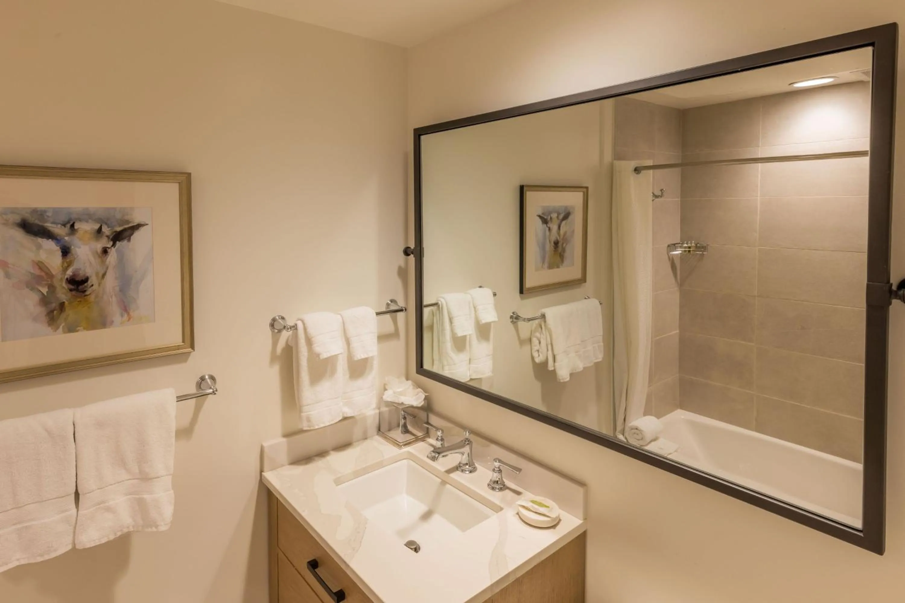 Bathroom in The Snowpine Lodge