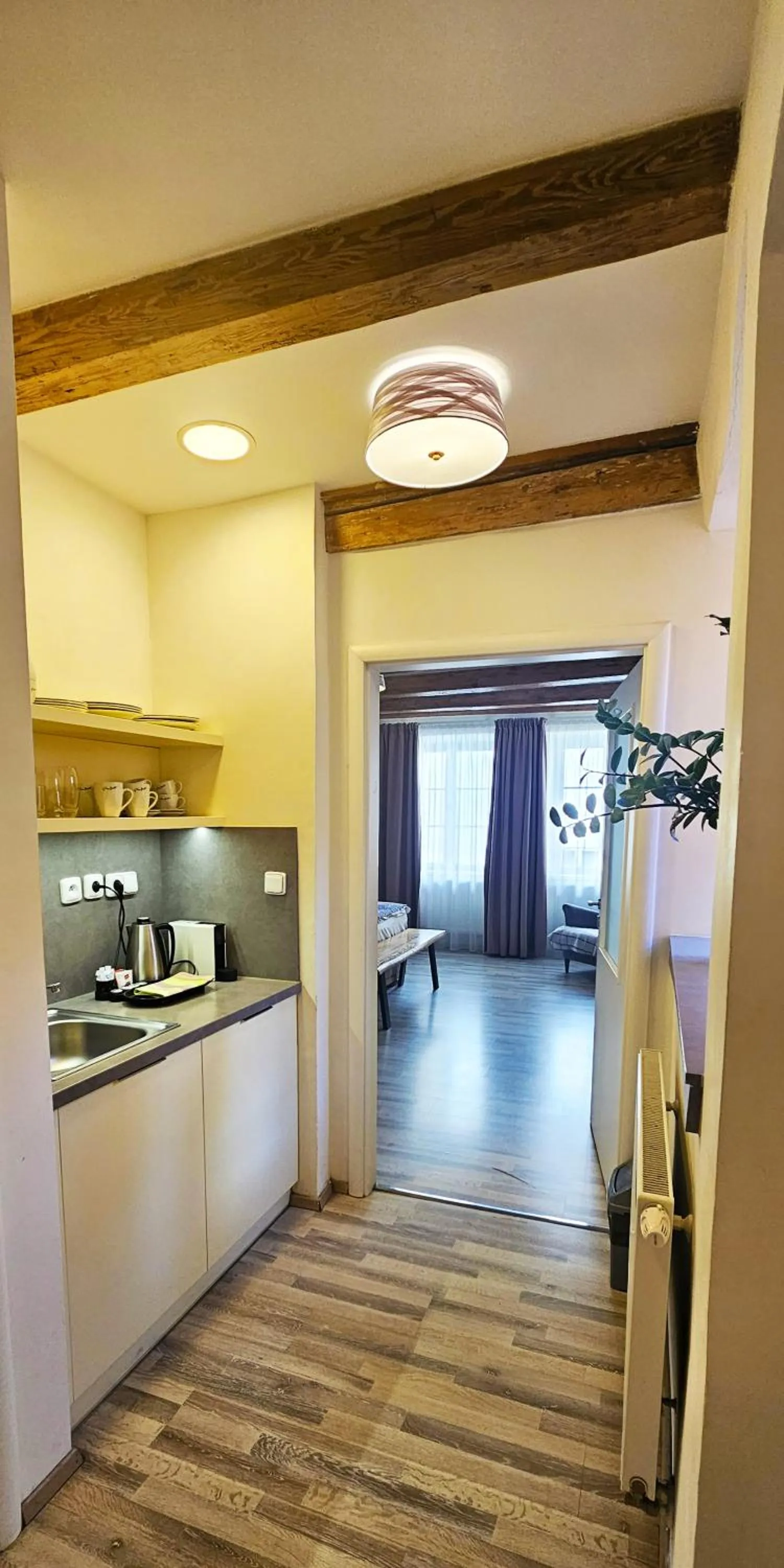 Kitchen or kitchenette in Historic Centre Aparthotel X