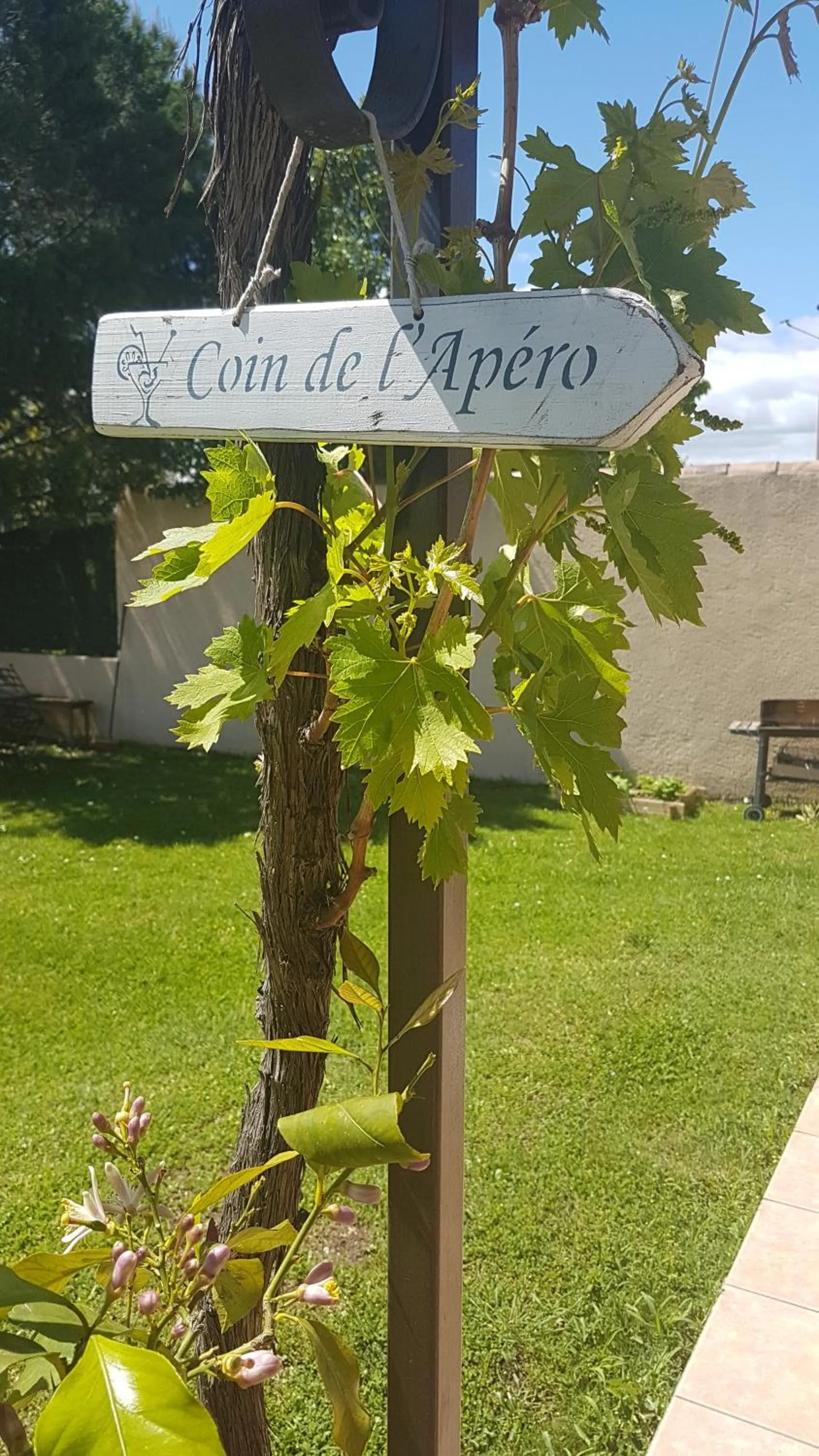 Garden in fleur de garance