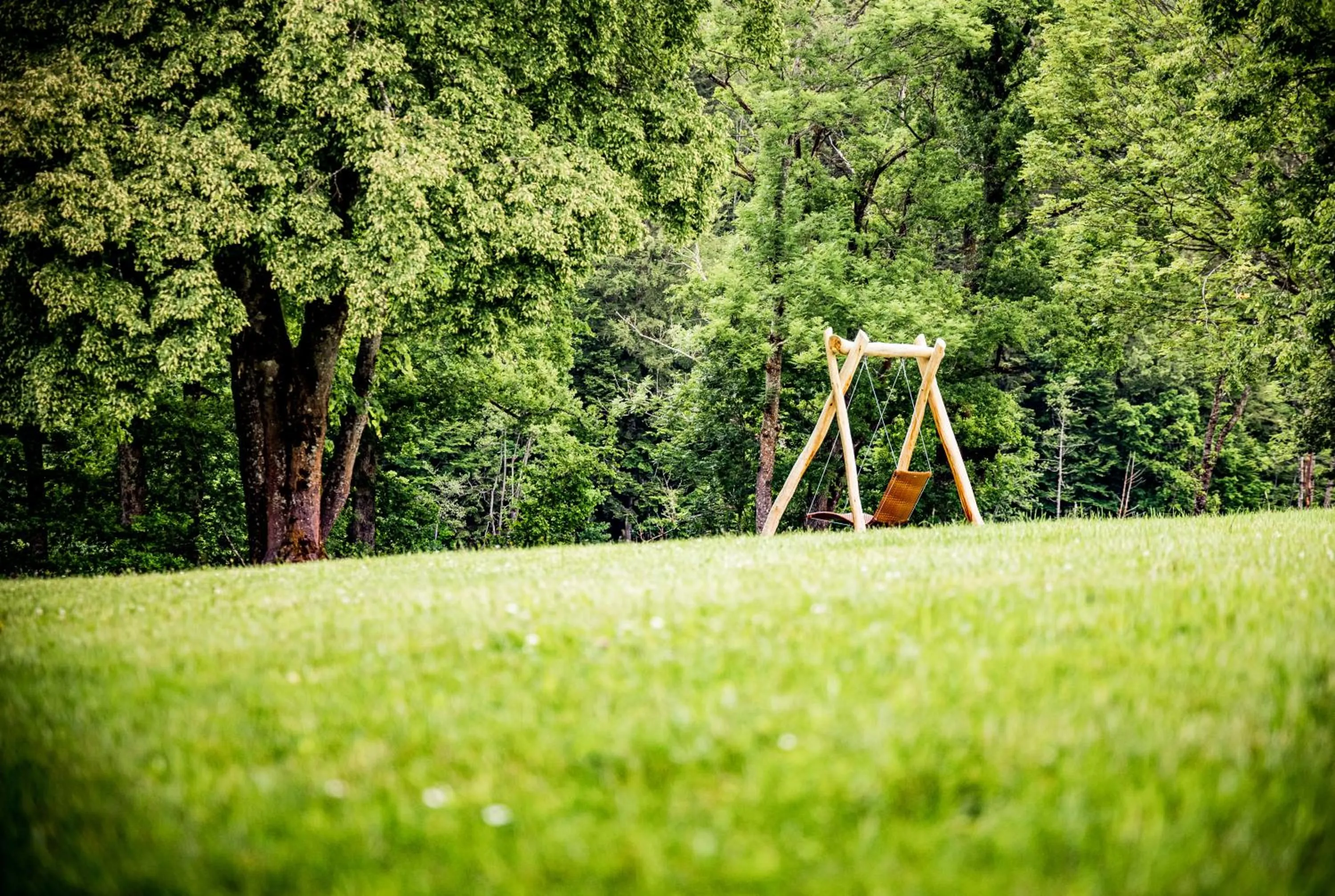 Natural landscape in Hotel Der Seehof