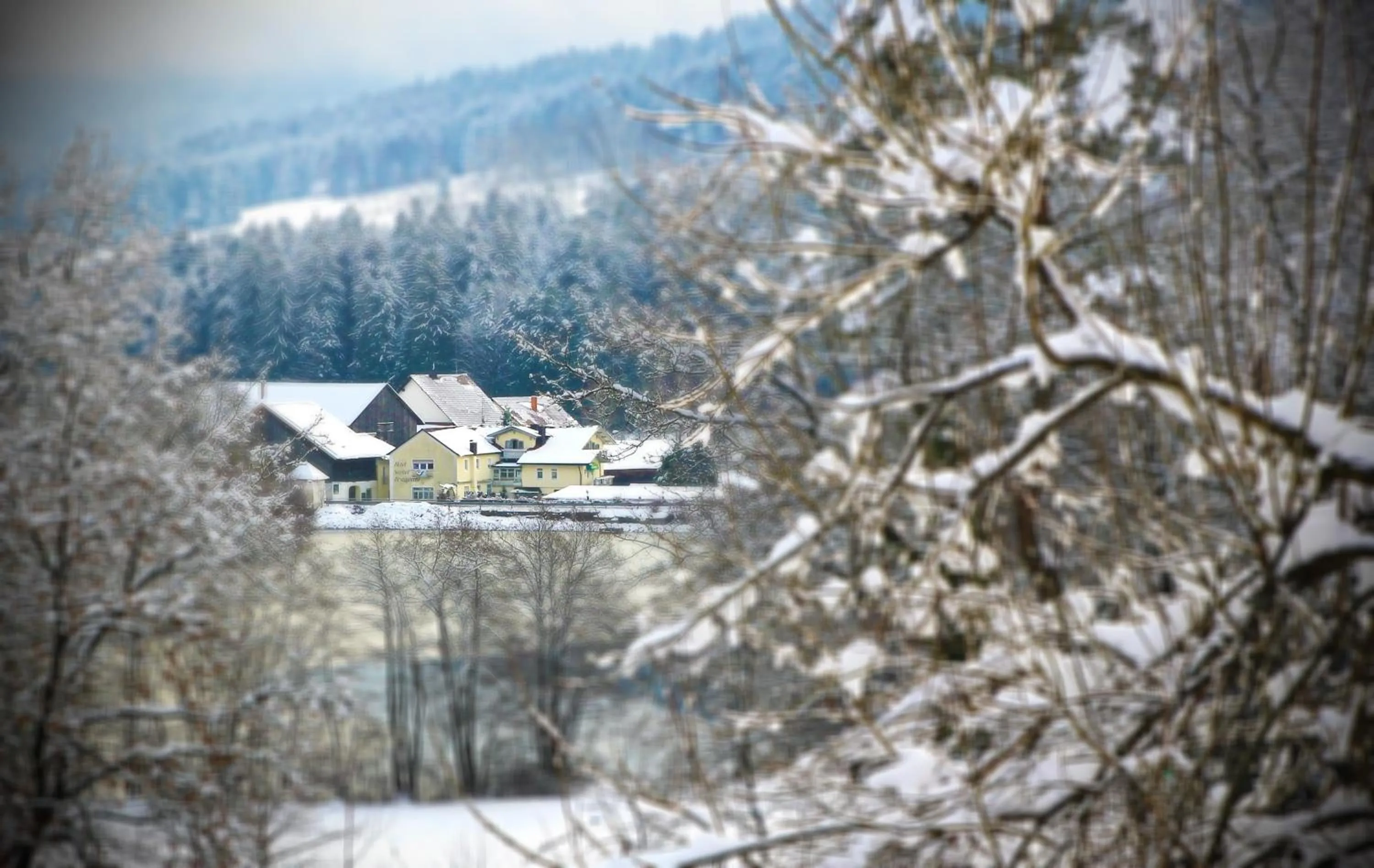 Winter in Hotel Der Seehof