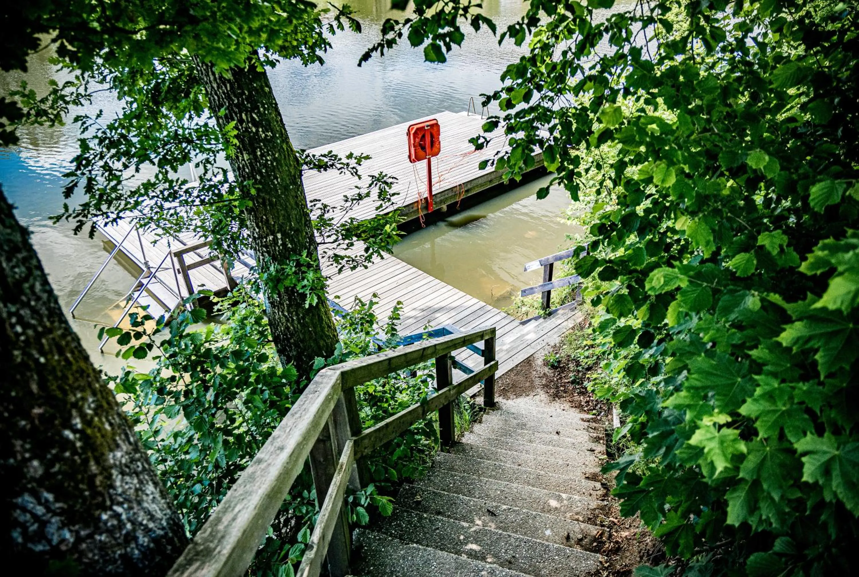 Area and facilities in Hotel Der Seehof