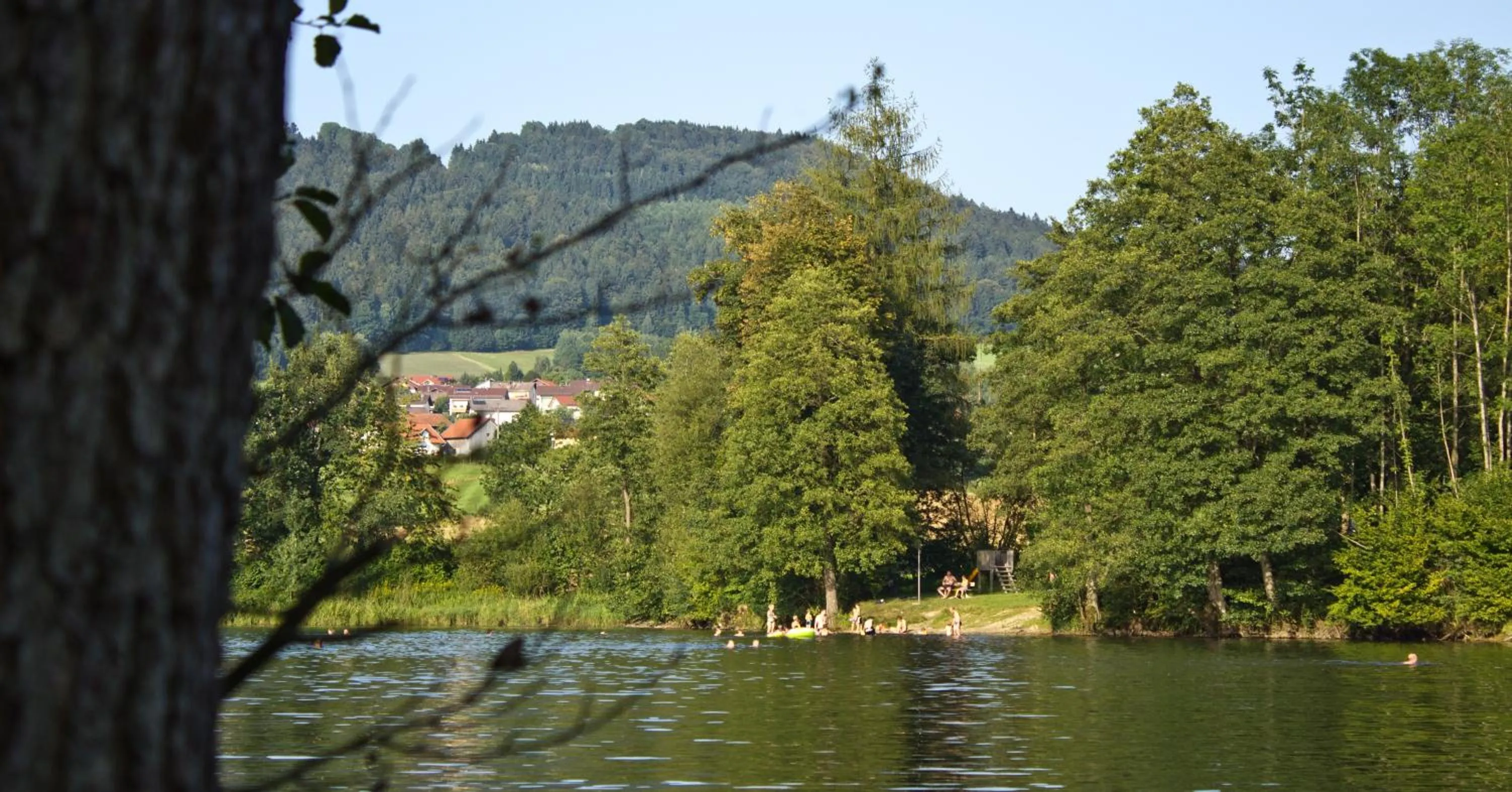 Lake view in Hotel Der Seehof