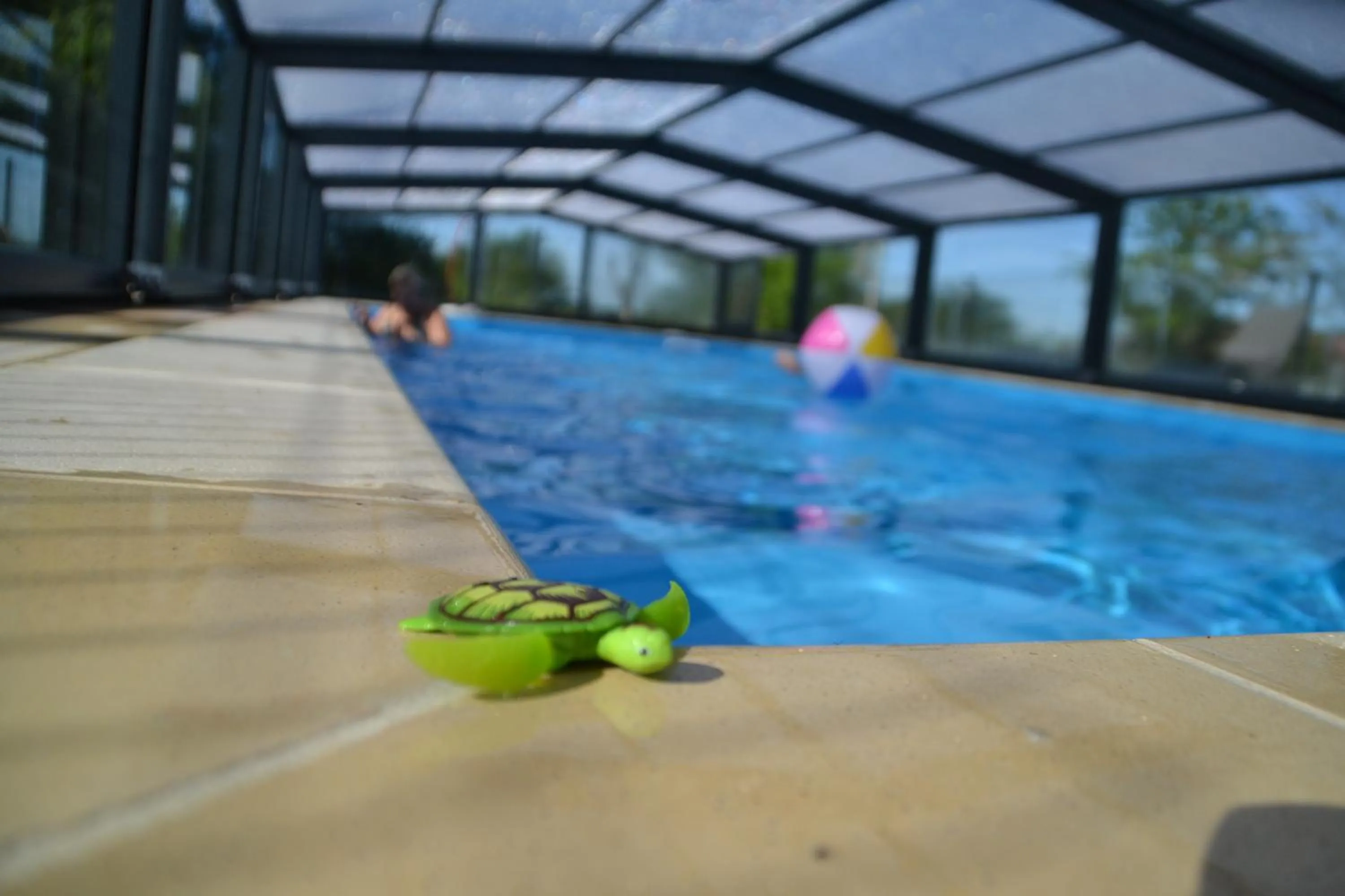 Swimming pool in Alaguyauder la chambre