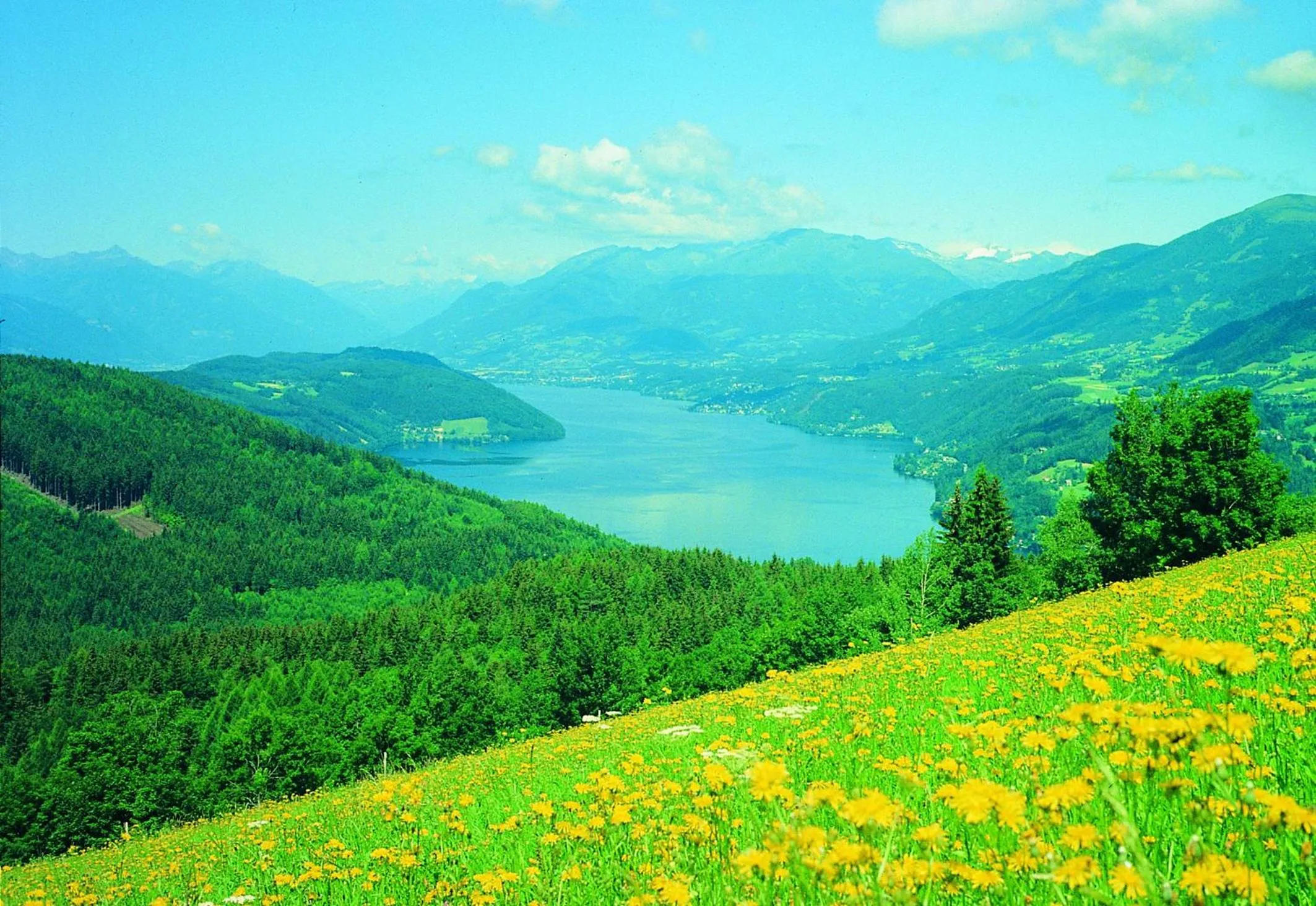 Natural landscape in Familienhotel Steindl