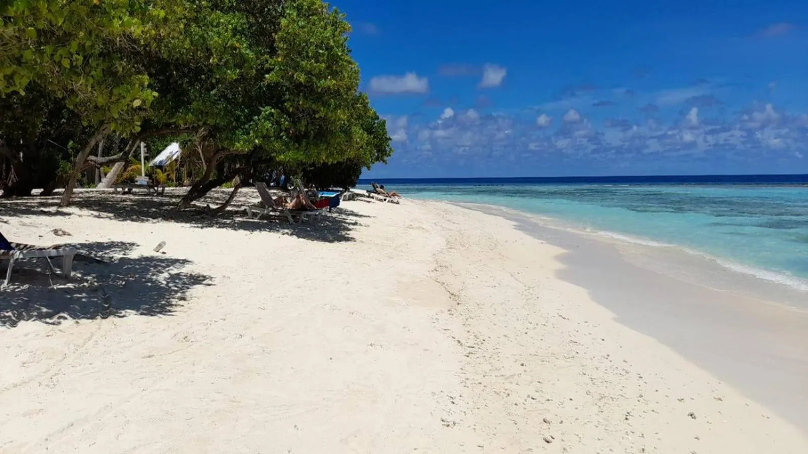 Beach in Beach Cottage