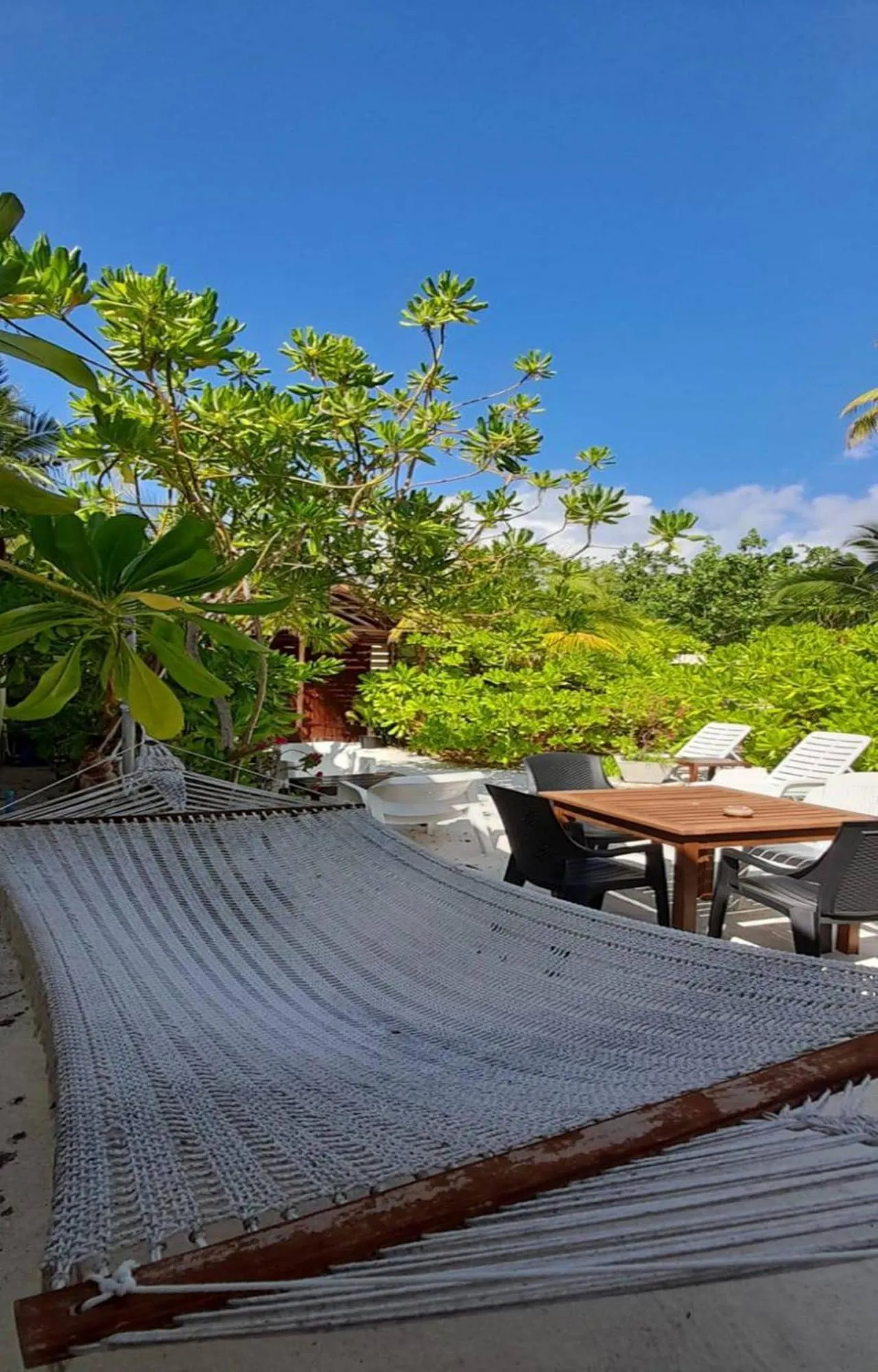 Garden in Beach Cottage