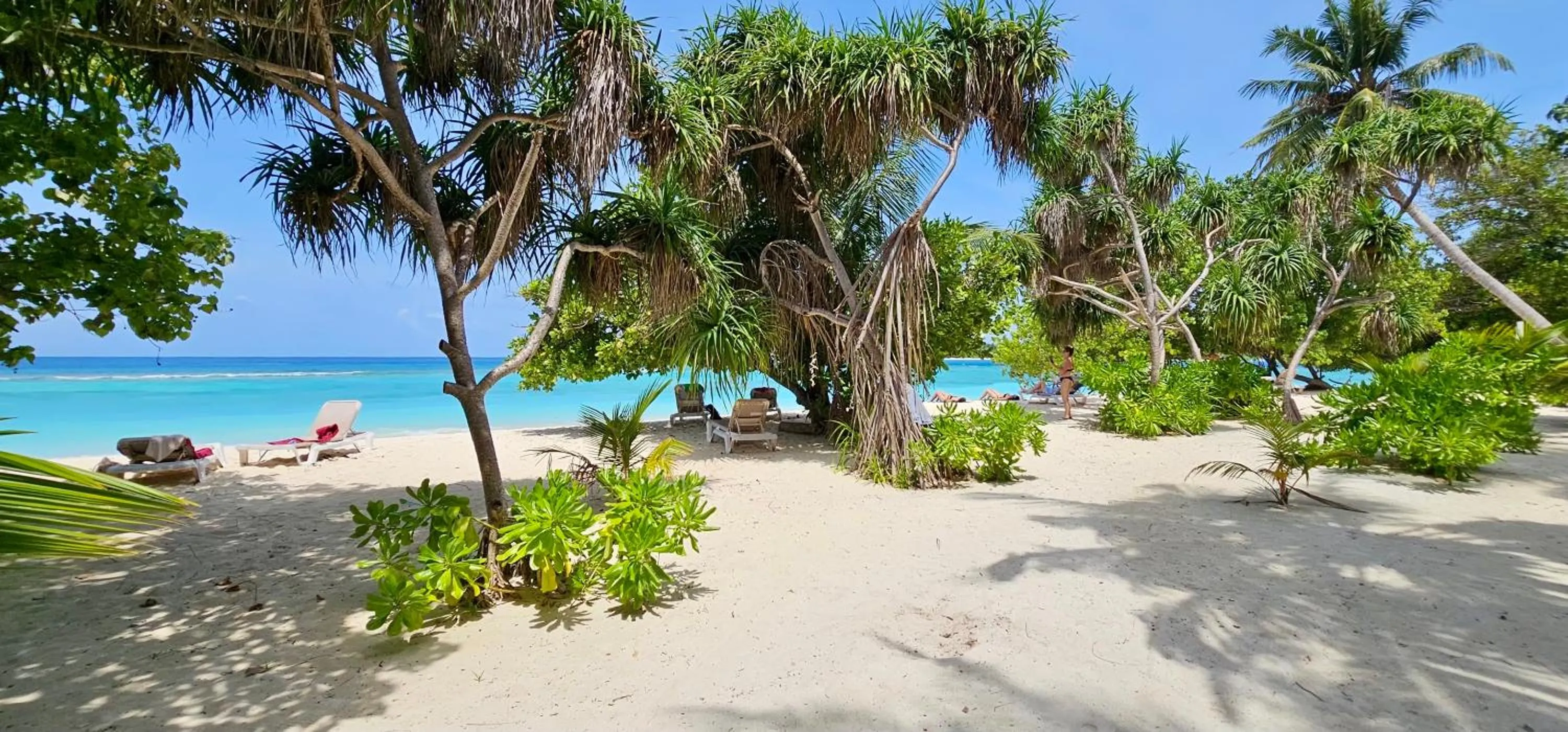 Beach in Beach Cottage