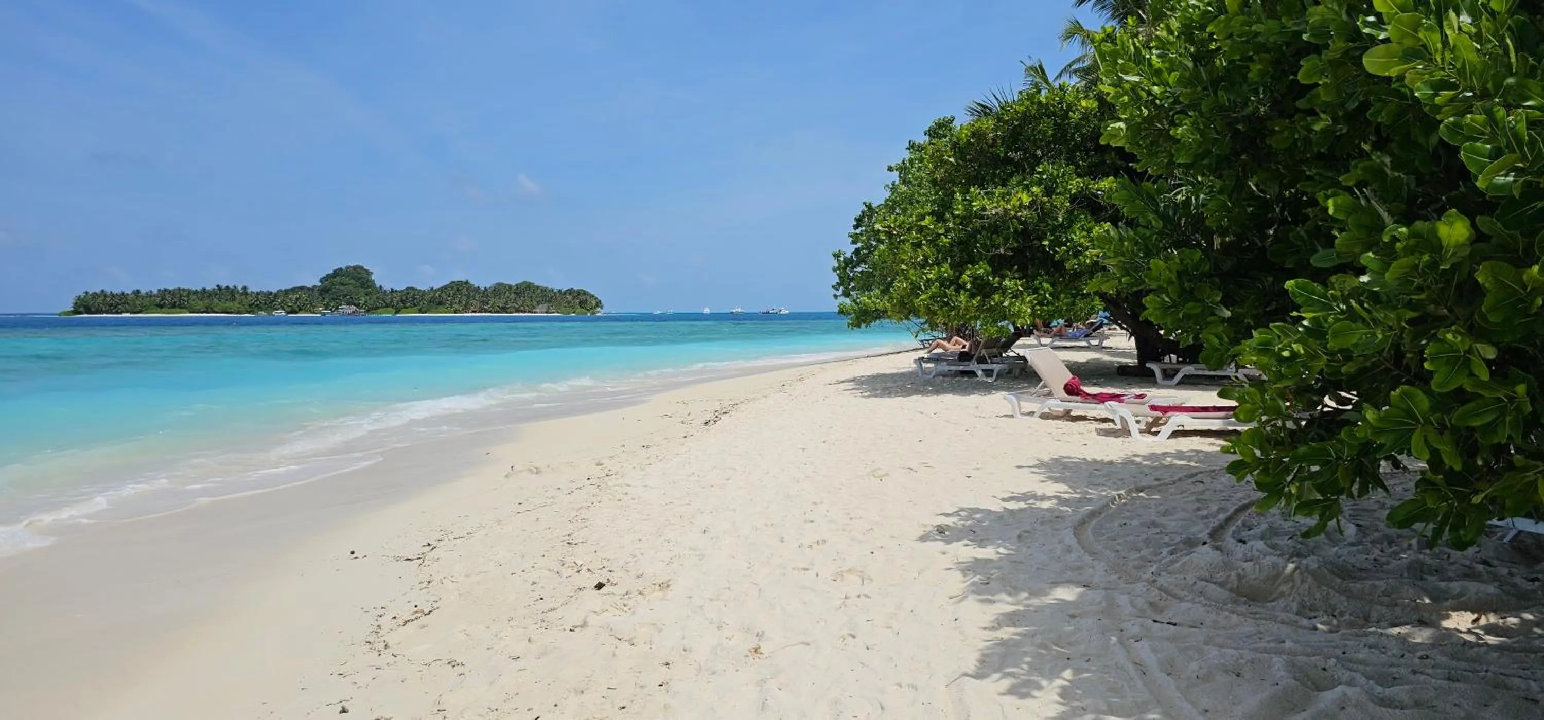 Beach in Beach Cottage