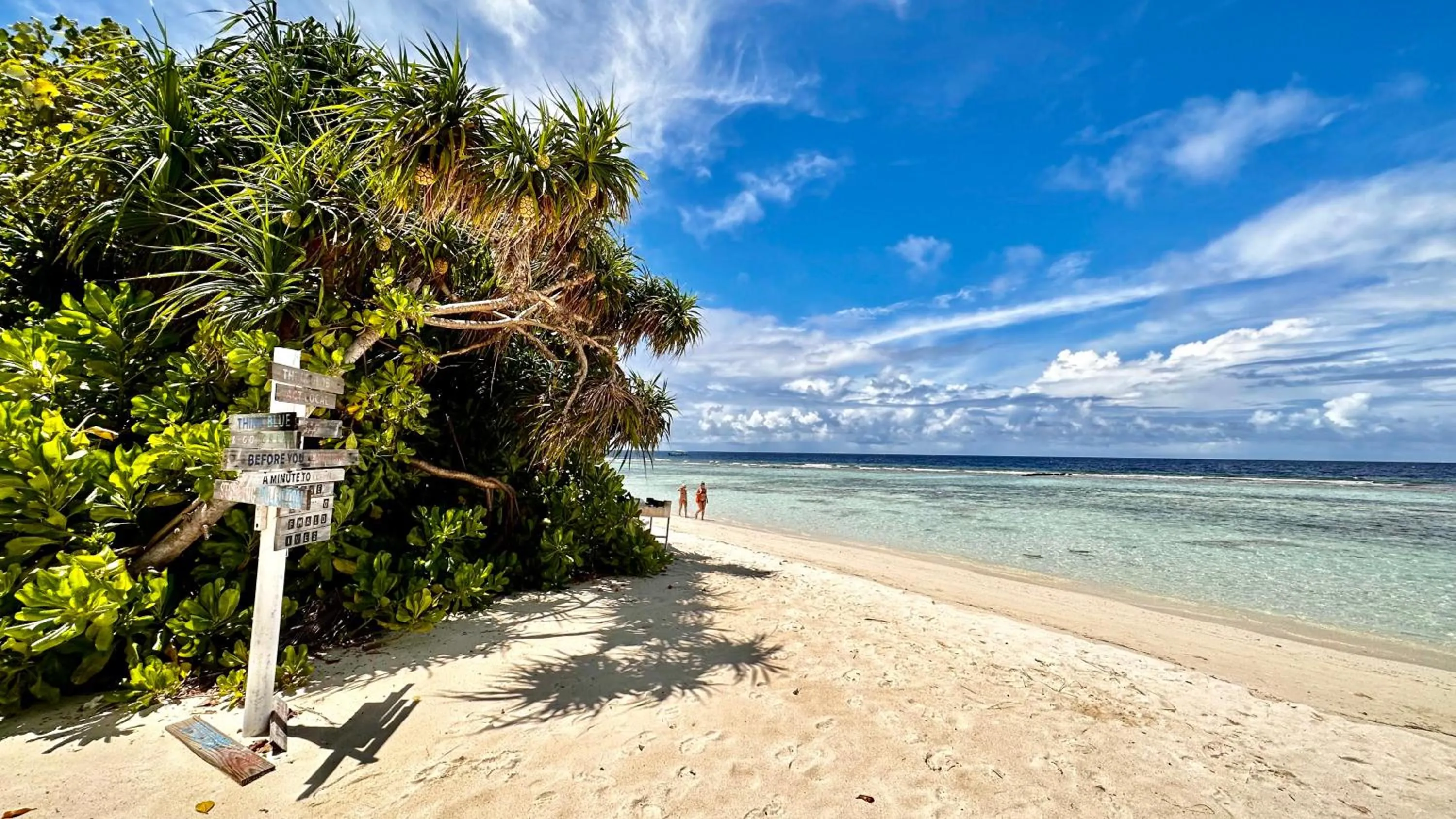 Beach in Beach Cottage