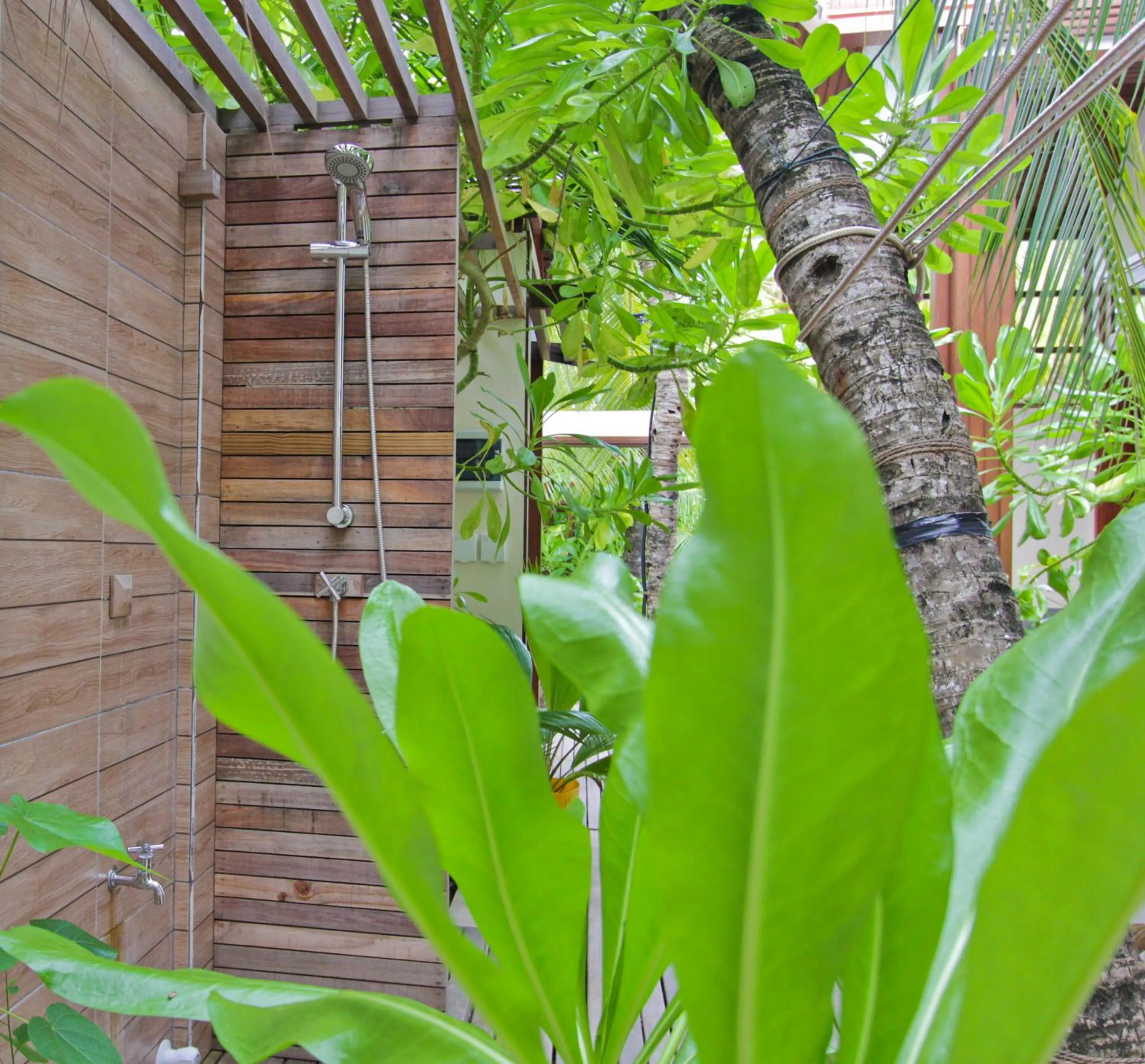 Garden in Beach Cottage