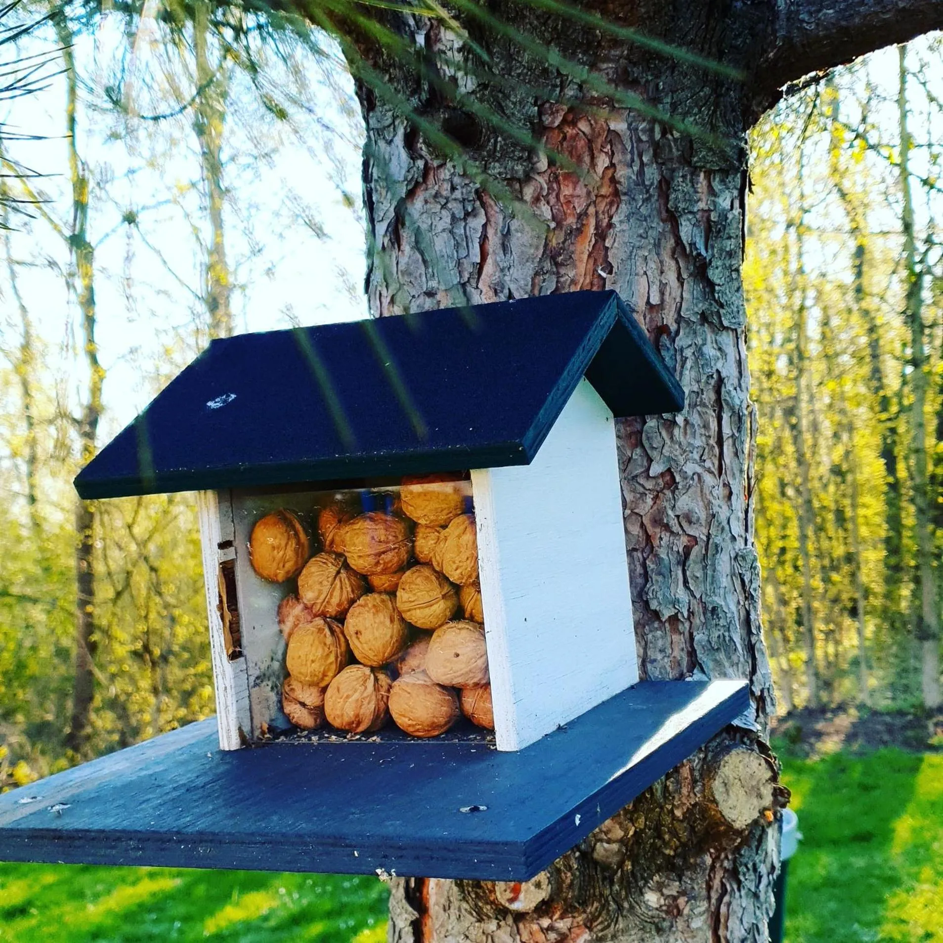 Off site in Hotel-Restaurant Elsterblick