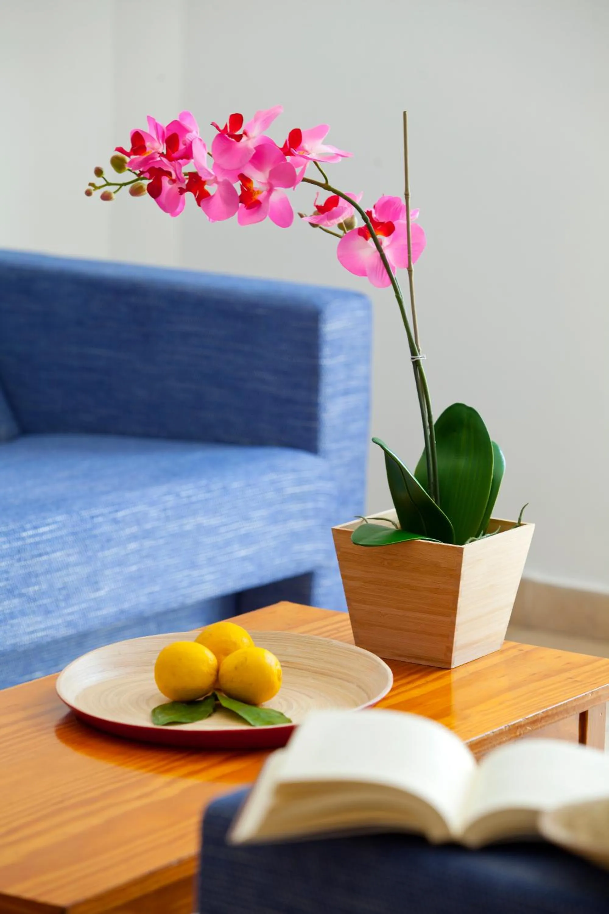 Living room in Paloma Hotel Apartments