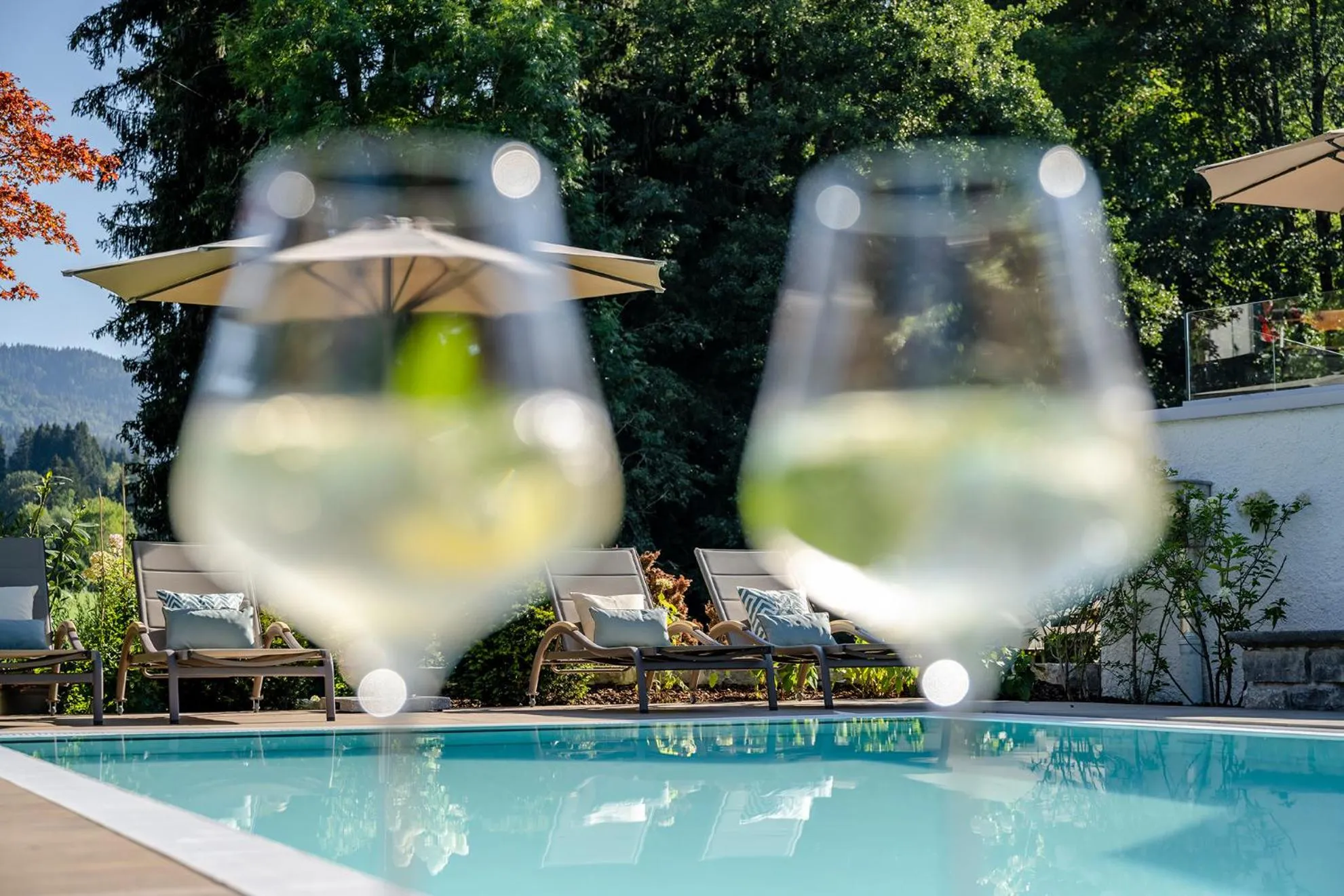 Swimming pool in Boutique Hotel Relais Chalet Wilhelmy