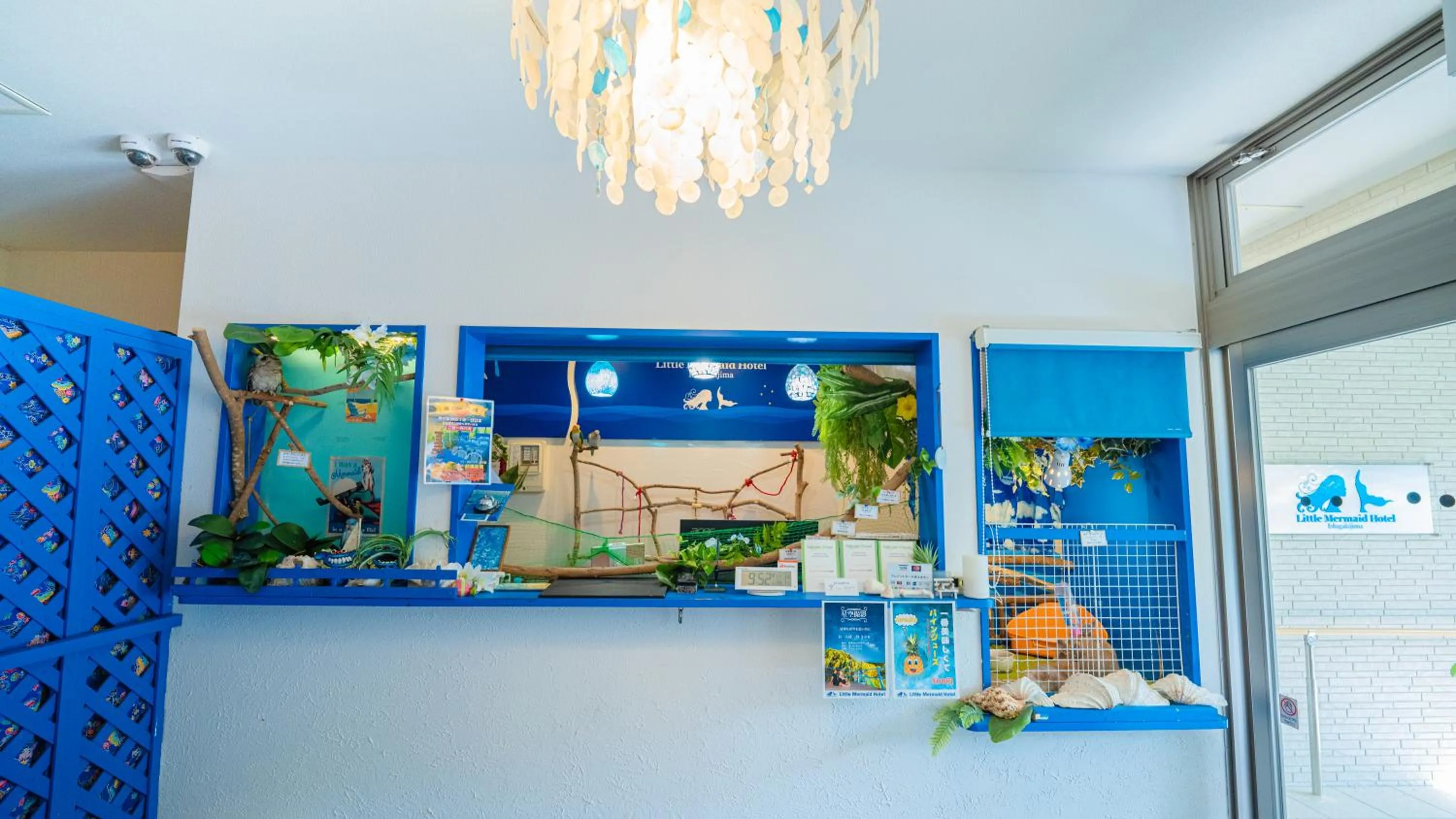 Area and facilities in Little Mermaid Hotel Ishigakijima