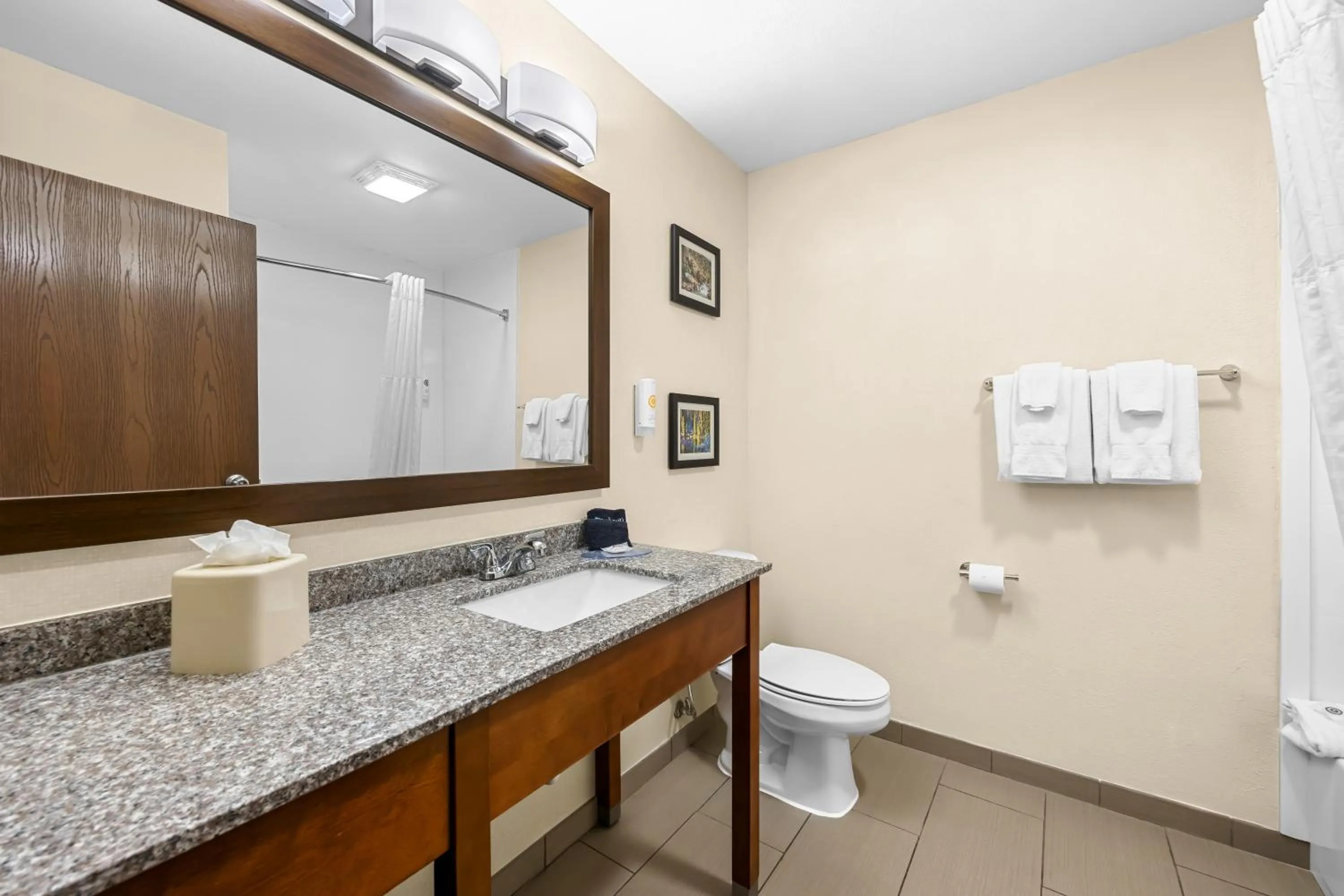 Bathroom in Comfort Inn & Suites Pueblo