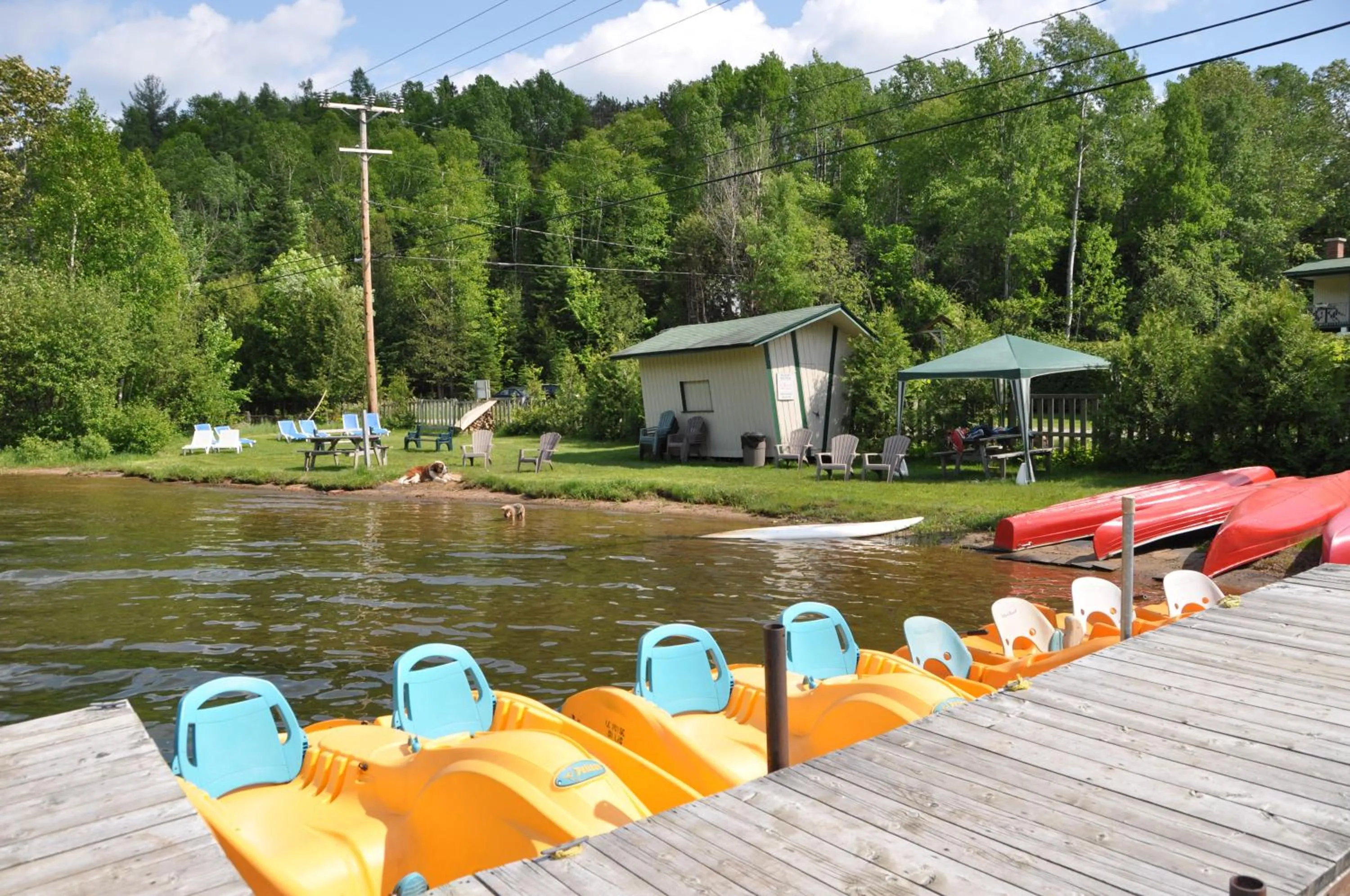 Day in Le Boisé du Lac