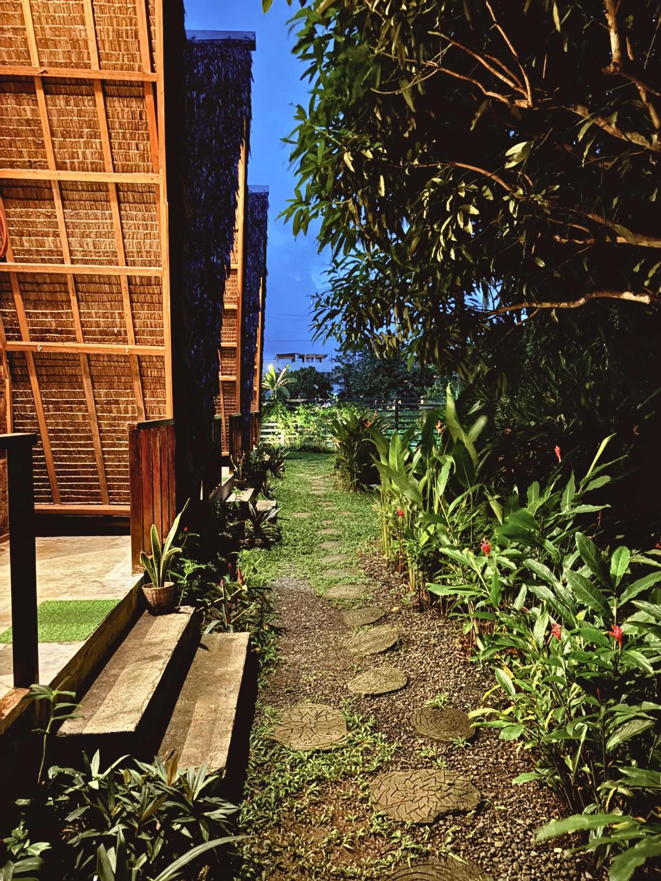 Garden in Triangle Palms Siargao