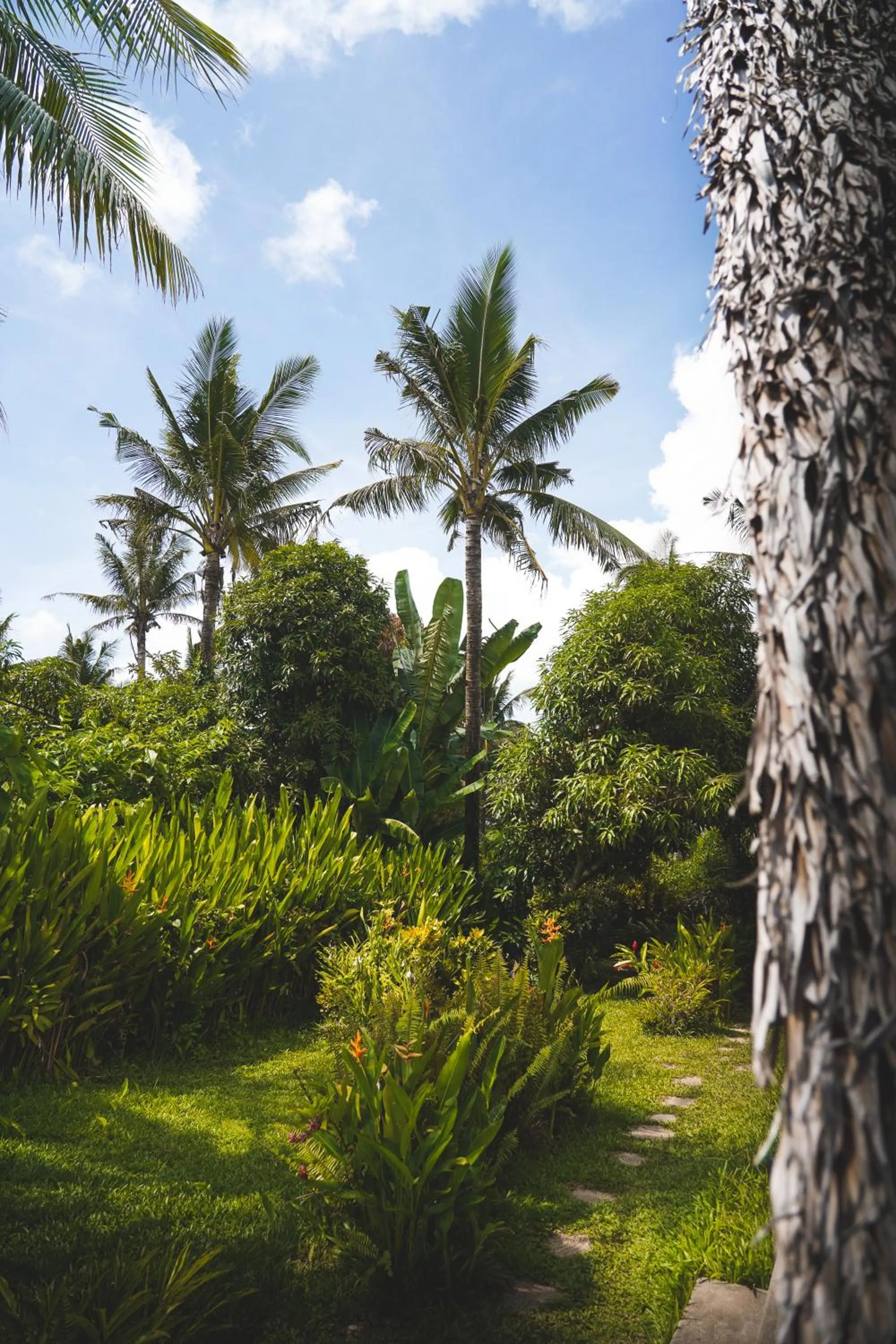 Garden in Triangle Palms Siargao